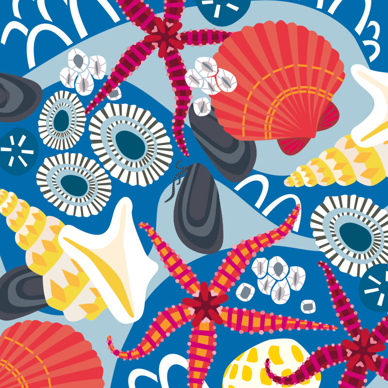 portfolio_TSS_seasidecloseup.jpg