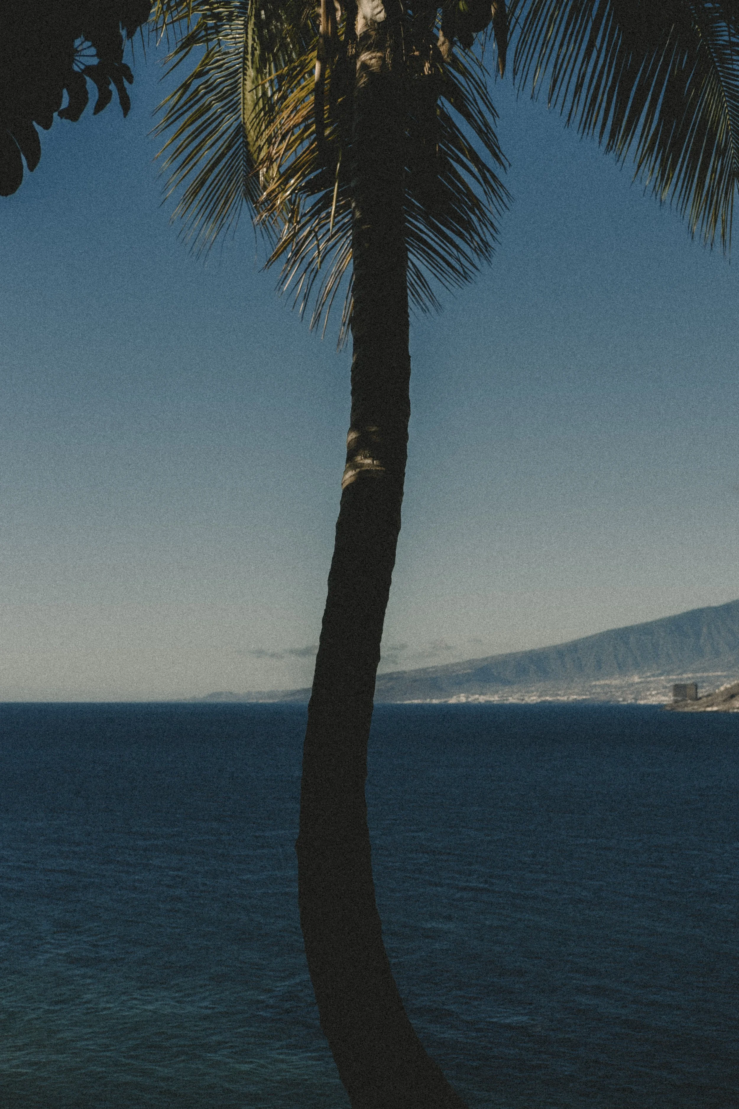 Tenerife