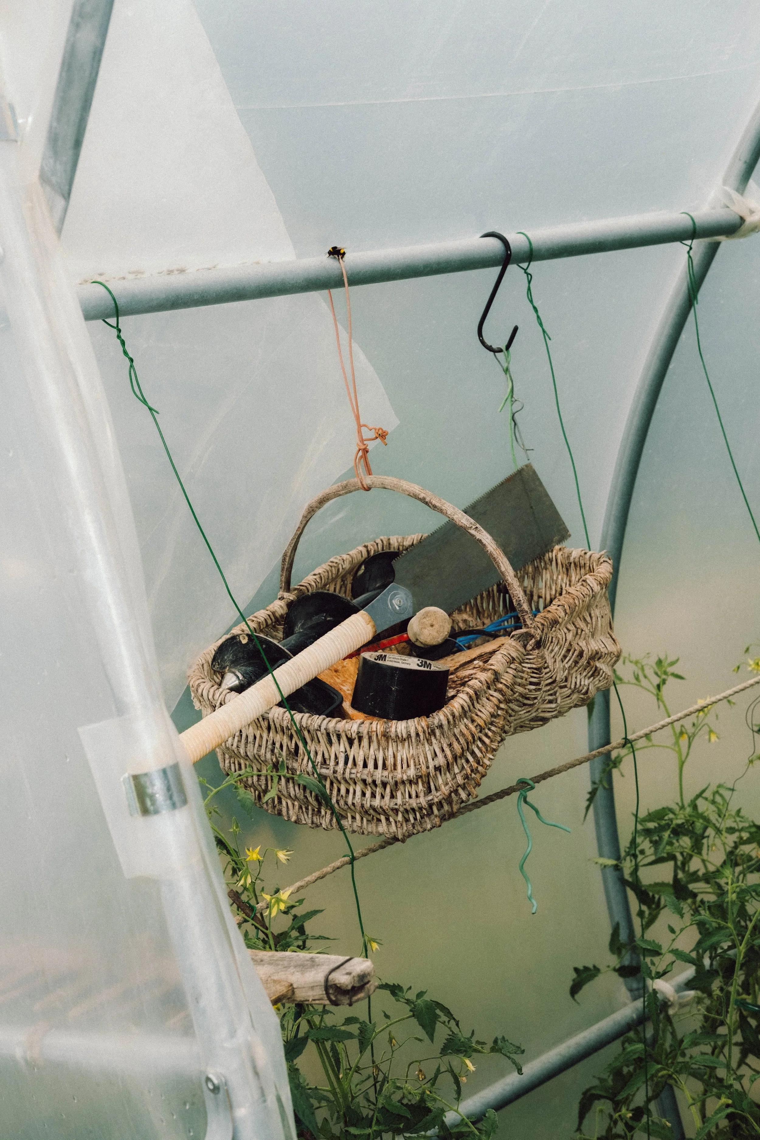 Les Saveurs de la Fondanaye : Le Jardin