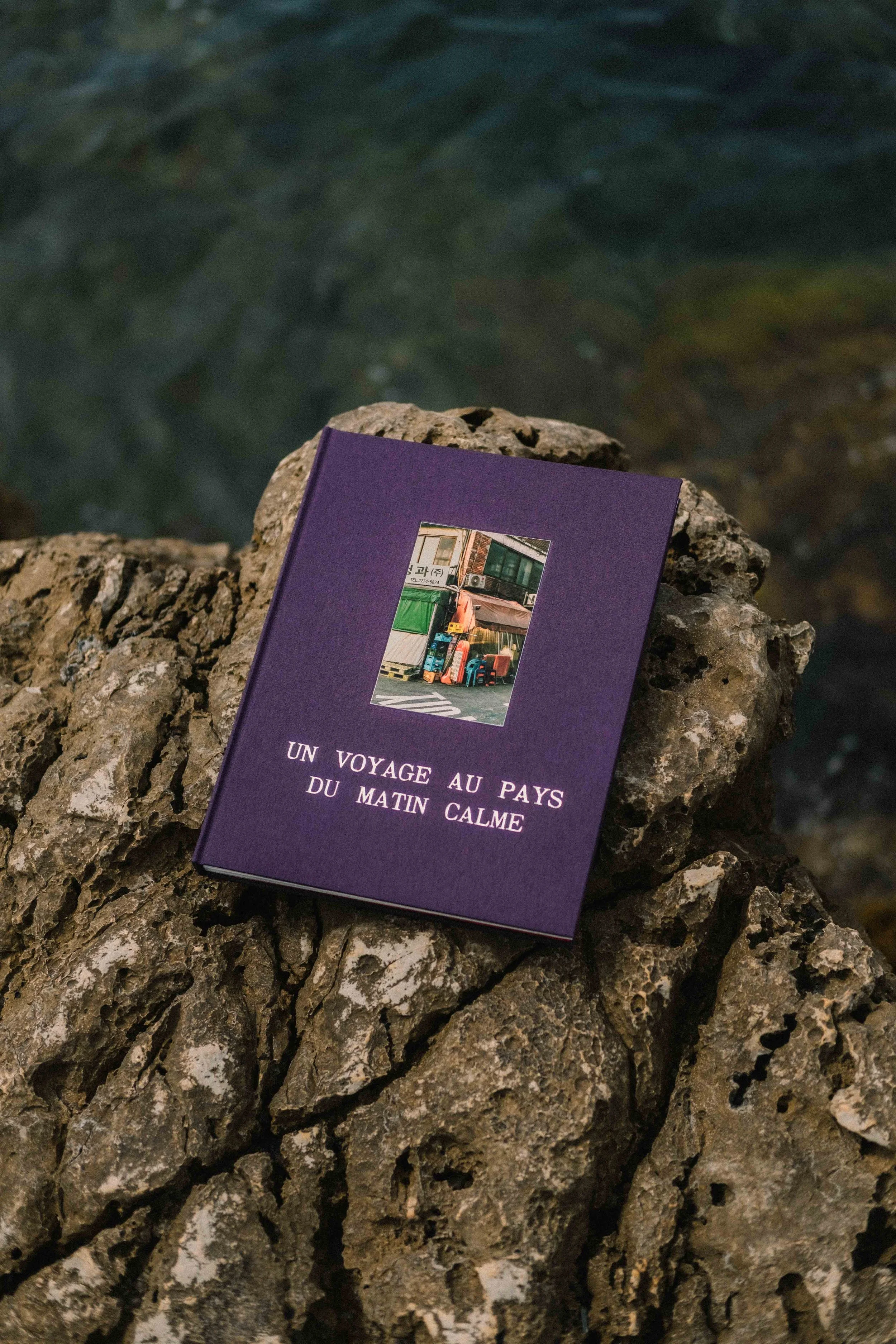 Livre "Un Voyage au pays du Matin Calme"