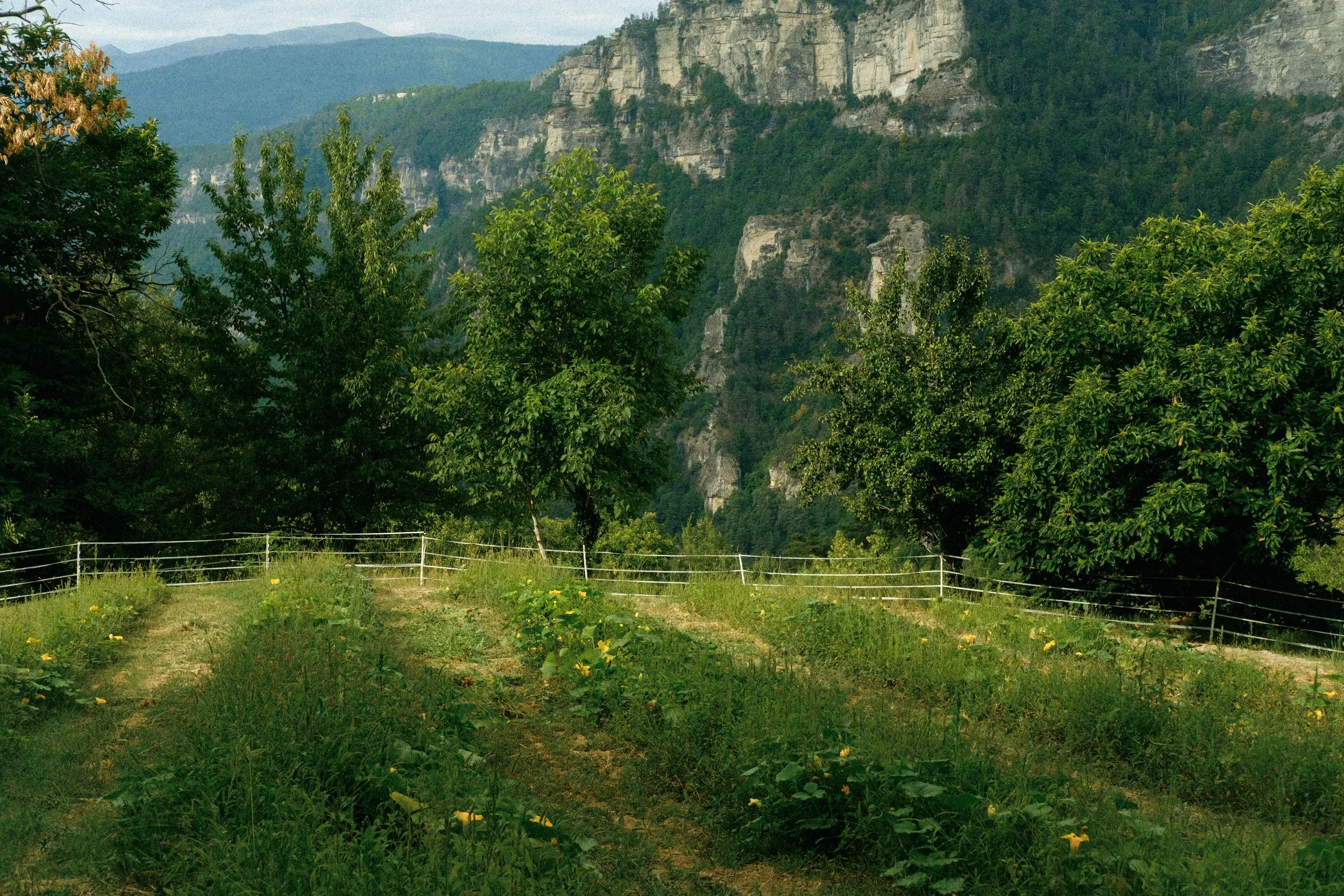 Les Saveurs de la Fondanaye : Le Jardin