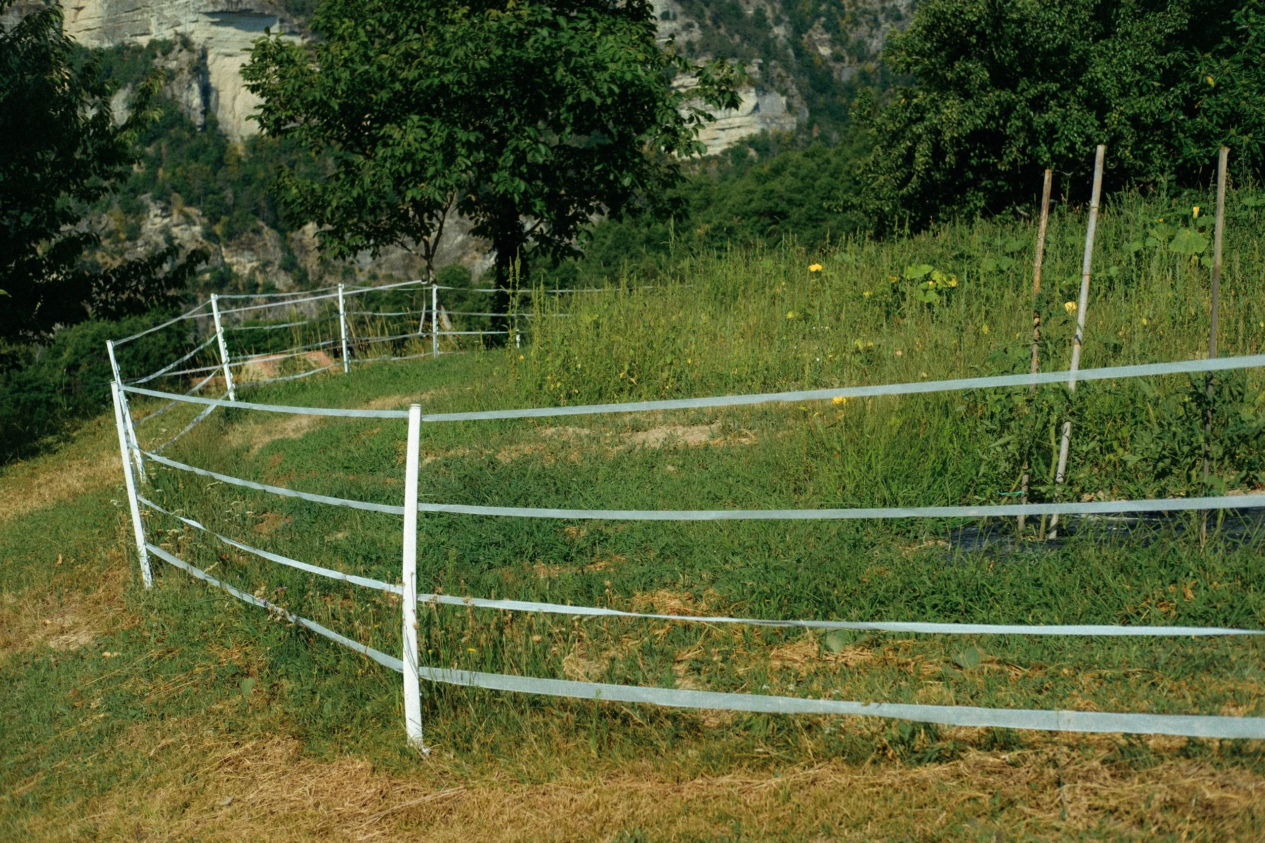 Les Saveurs de la Fondanaye : Le Jardin