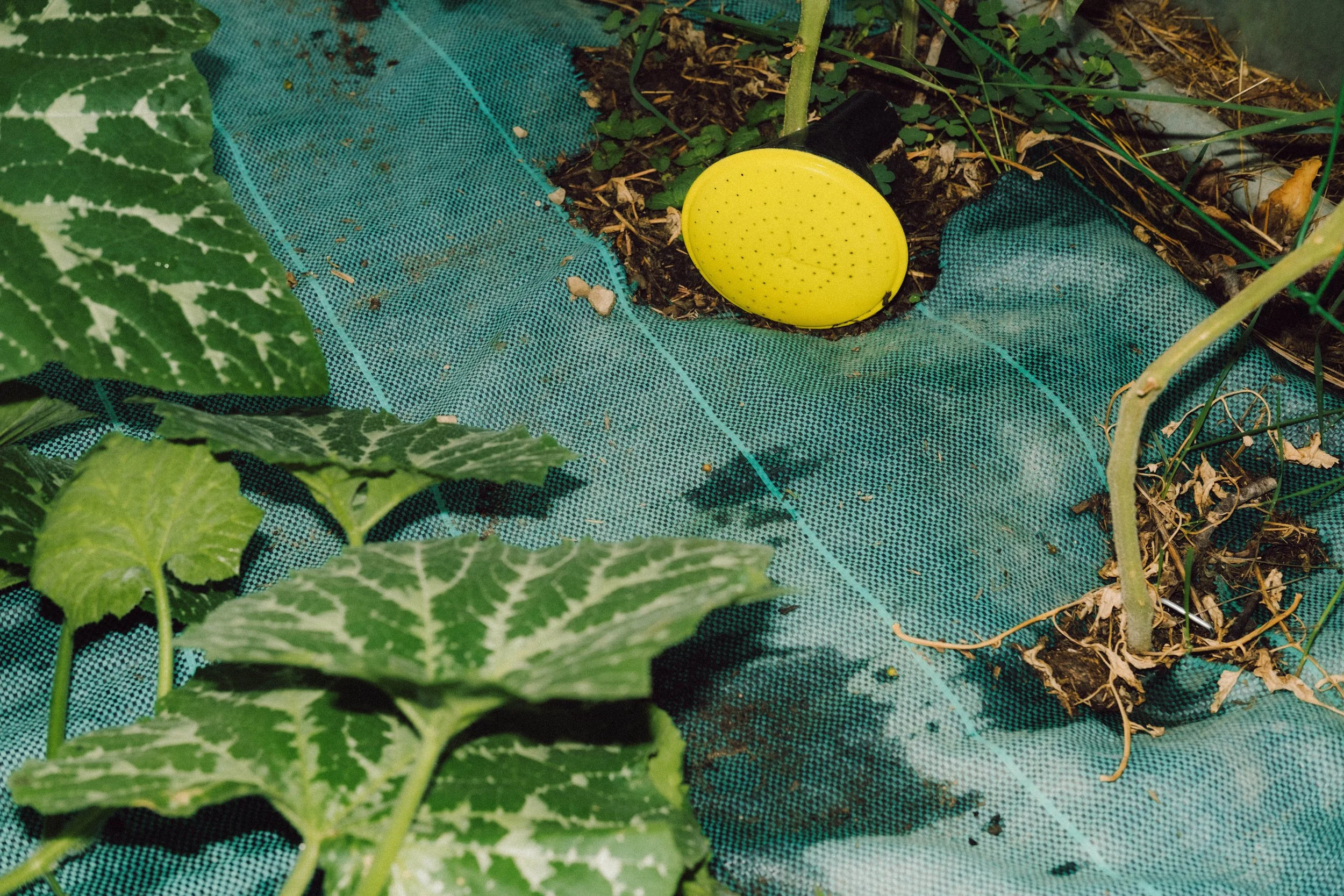 Les Saveurs de la Fondanaye : Le Jardin