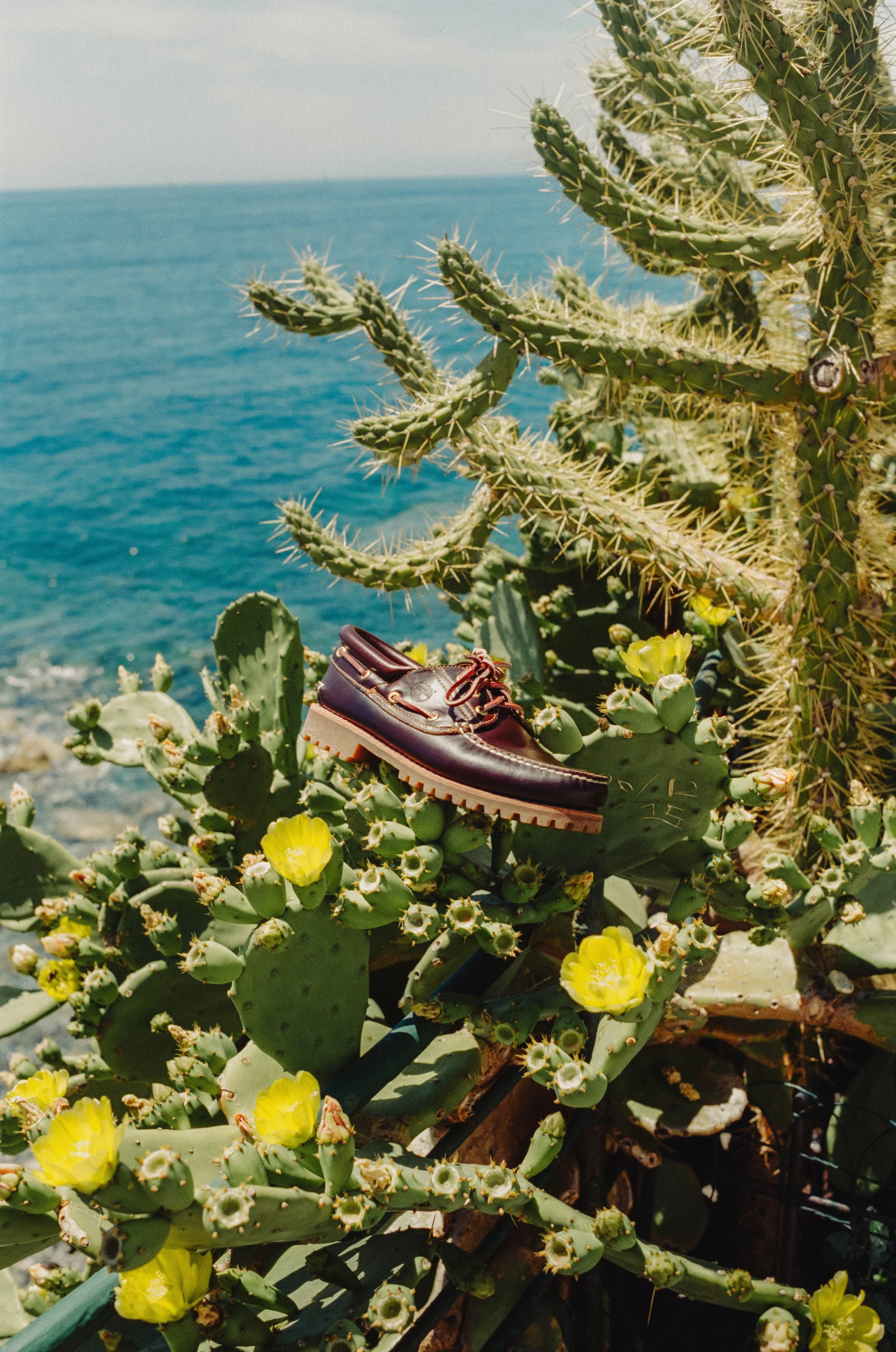 Une journée à Camogli avec Timberland en Argentique