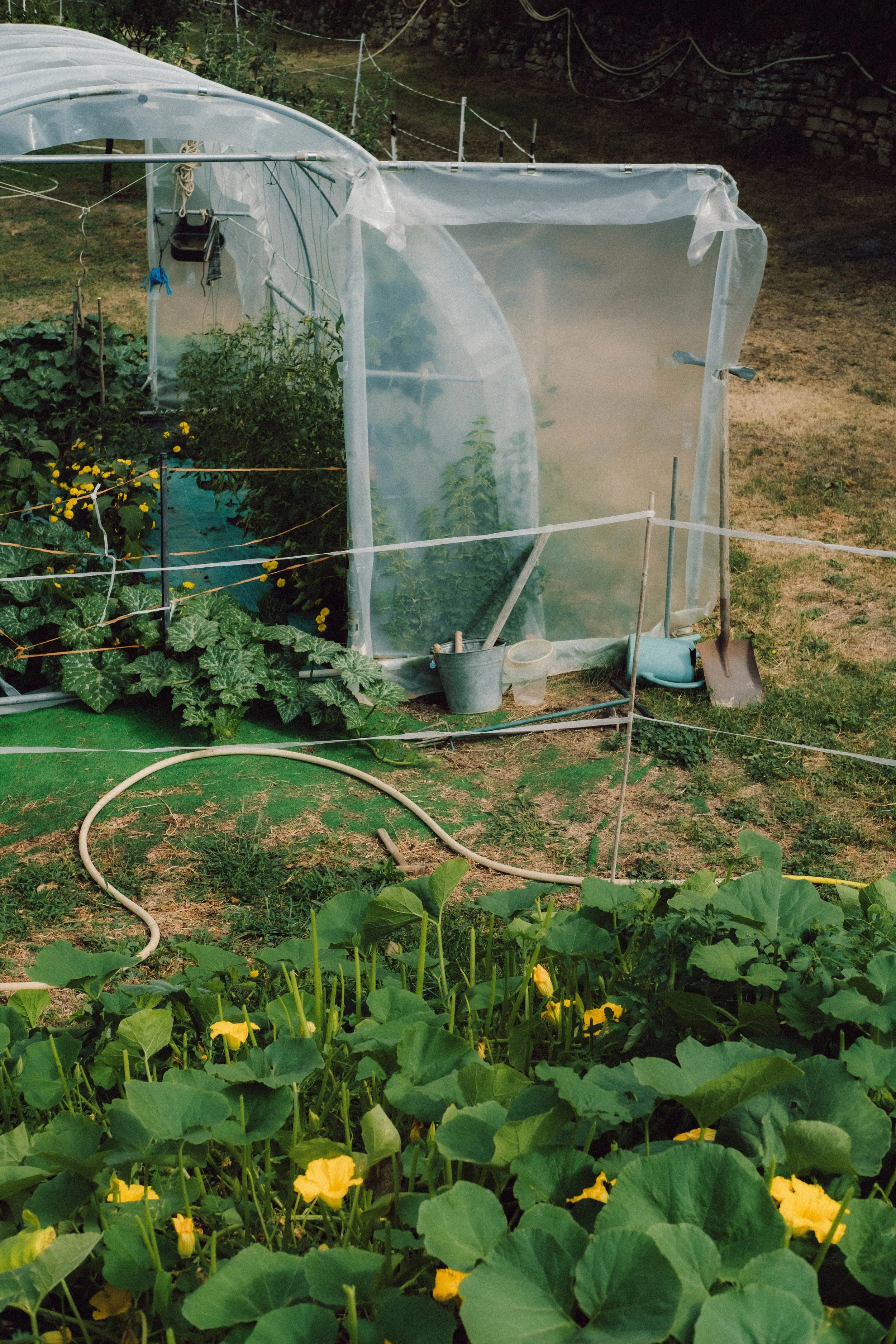 Les Saveurs de la Fondanaye : Le Jardin