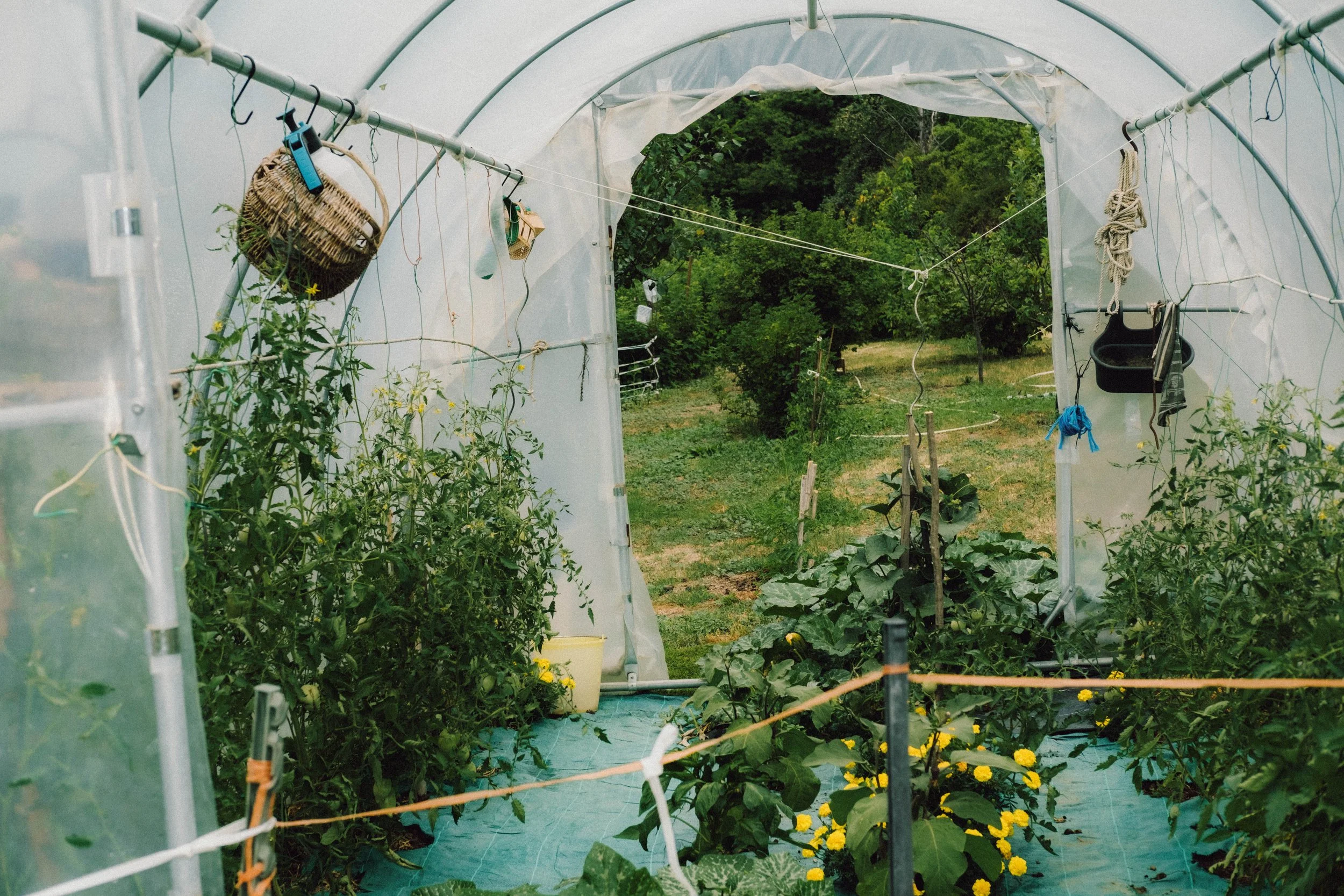 Les Saveurs de la Fondanaye : Le Jardin