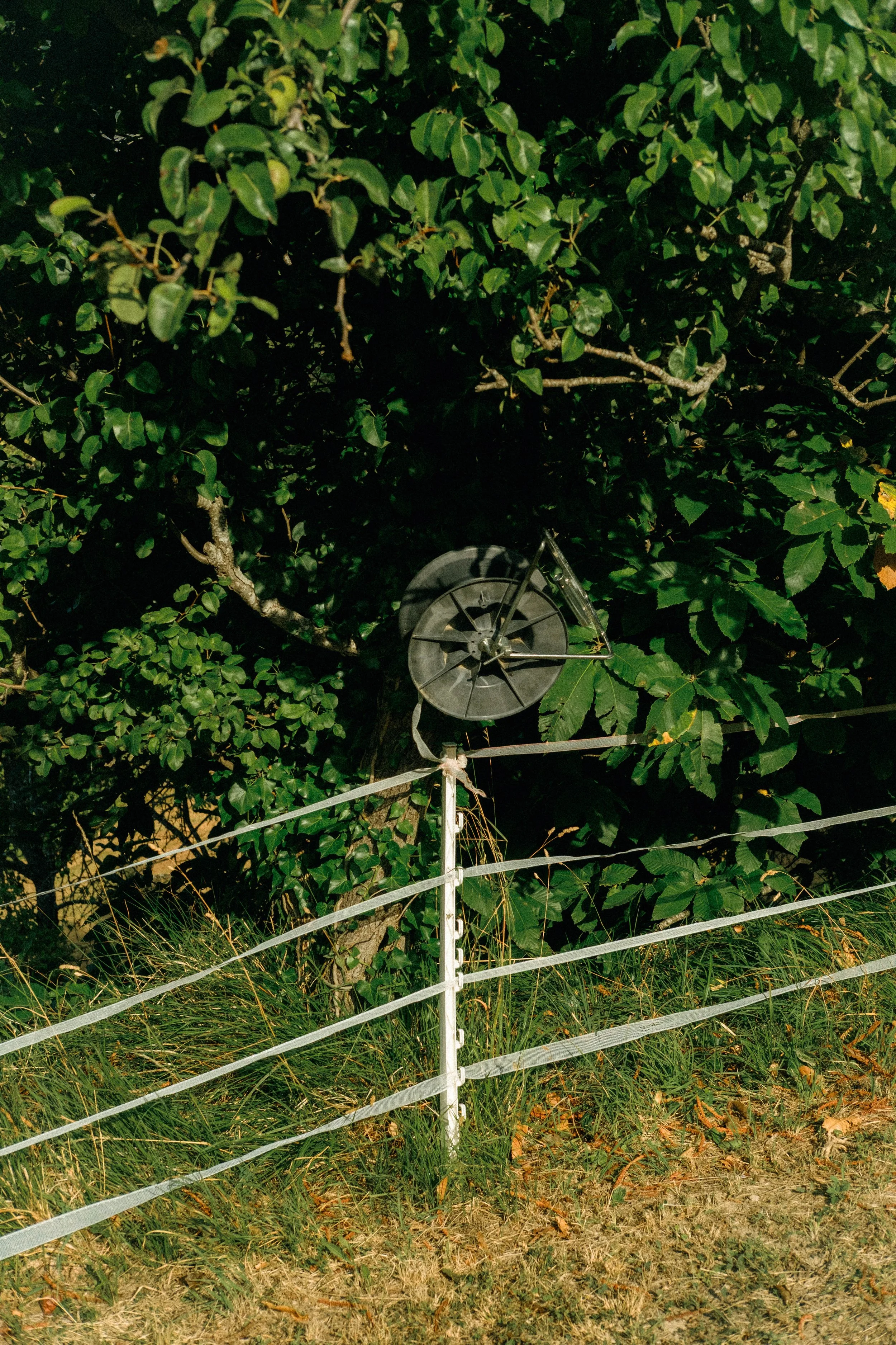 Les Saveurs de la Fondanaye : Le Jardin