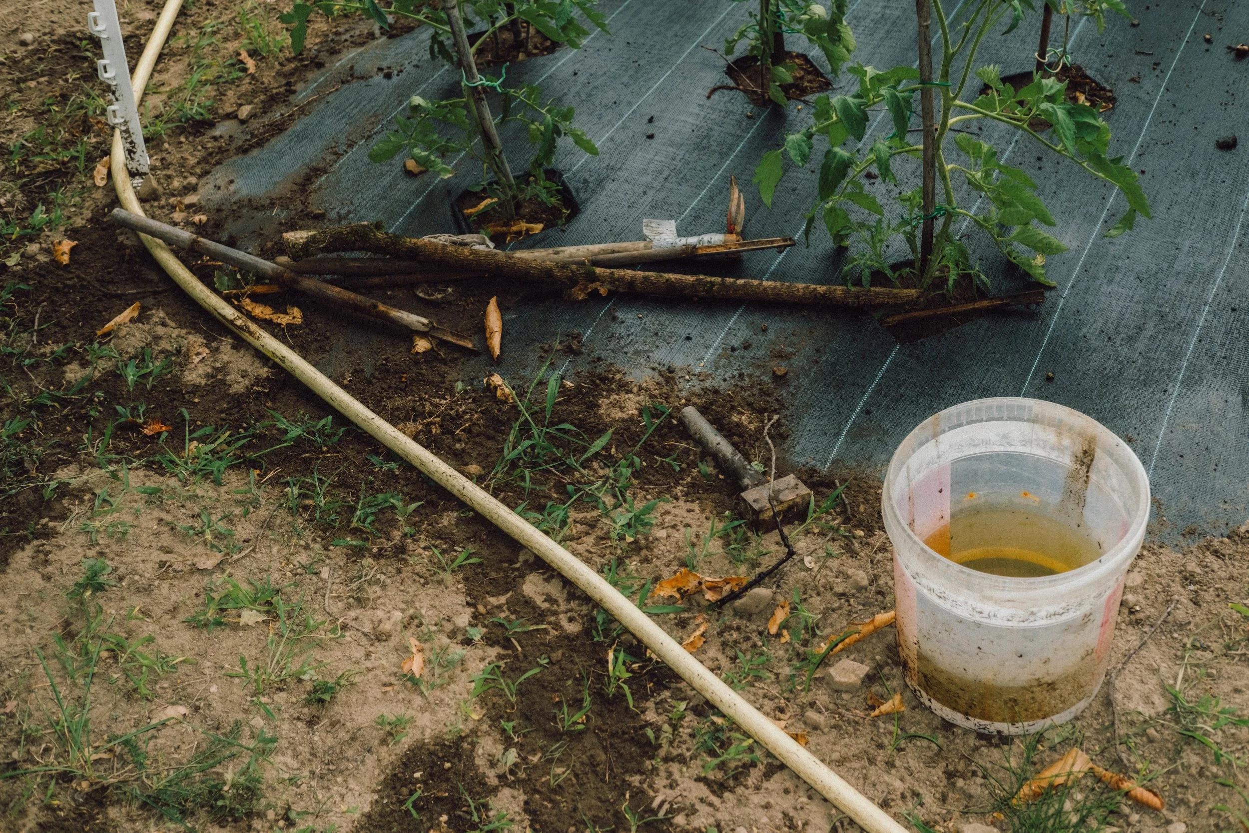 Les Saveurs de la Fondanaye : Le Jardin