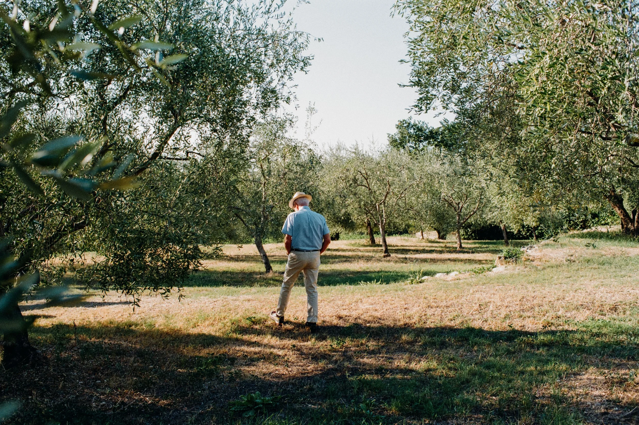 Journées européennes du patrimoine : Nice, Grasse & Saint-Paul-de-Vence