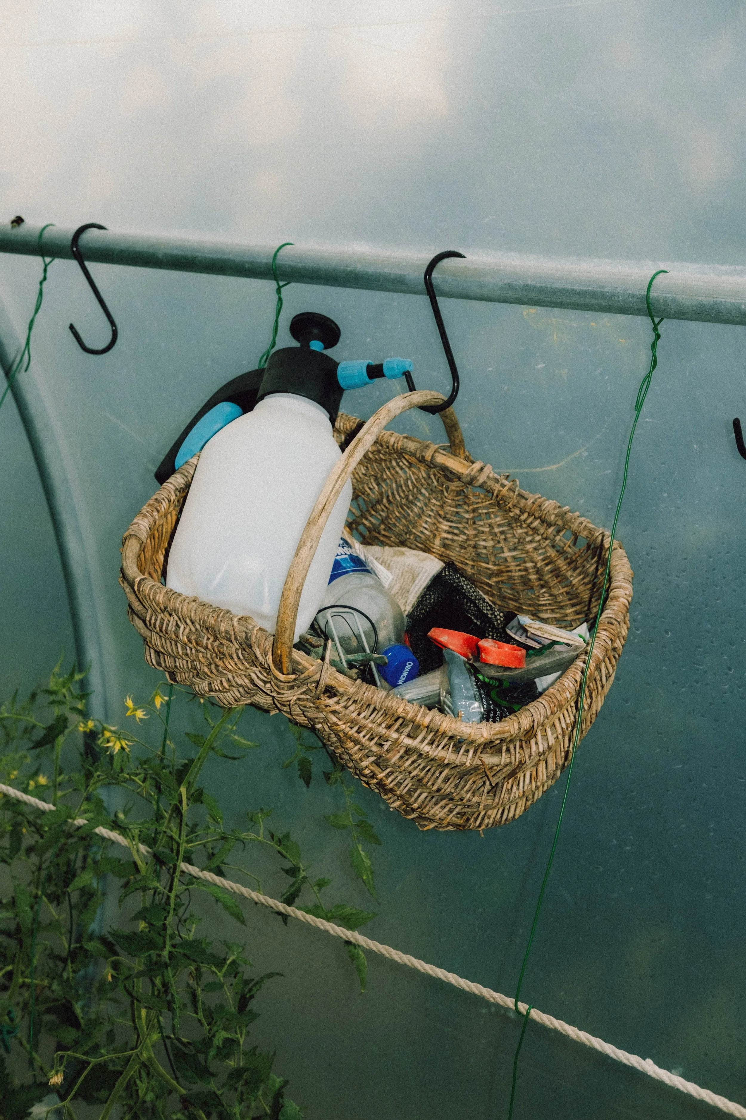 Les Saveurs de la Fondanaye : Le Jardin