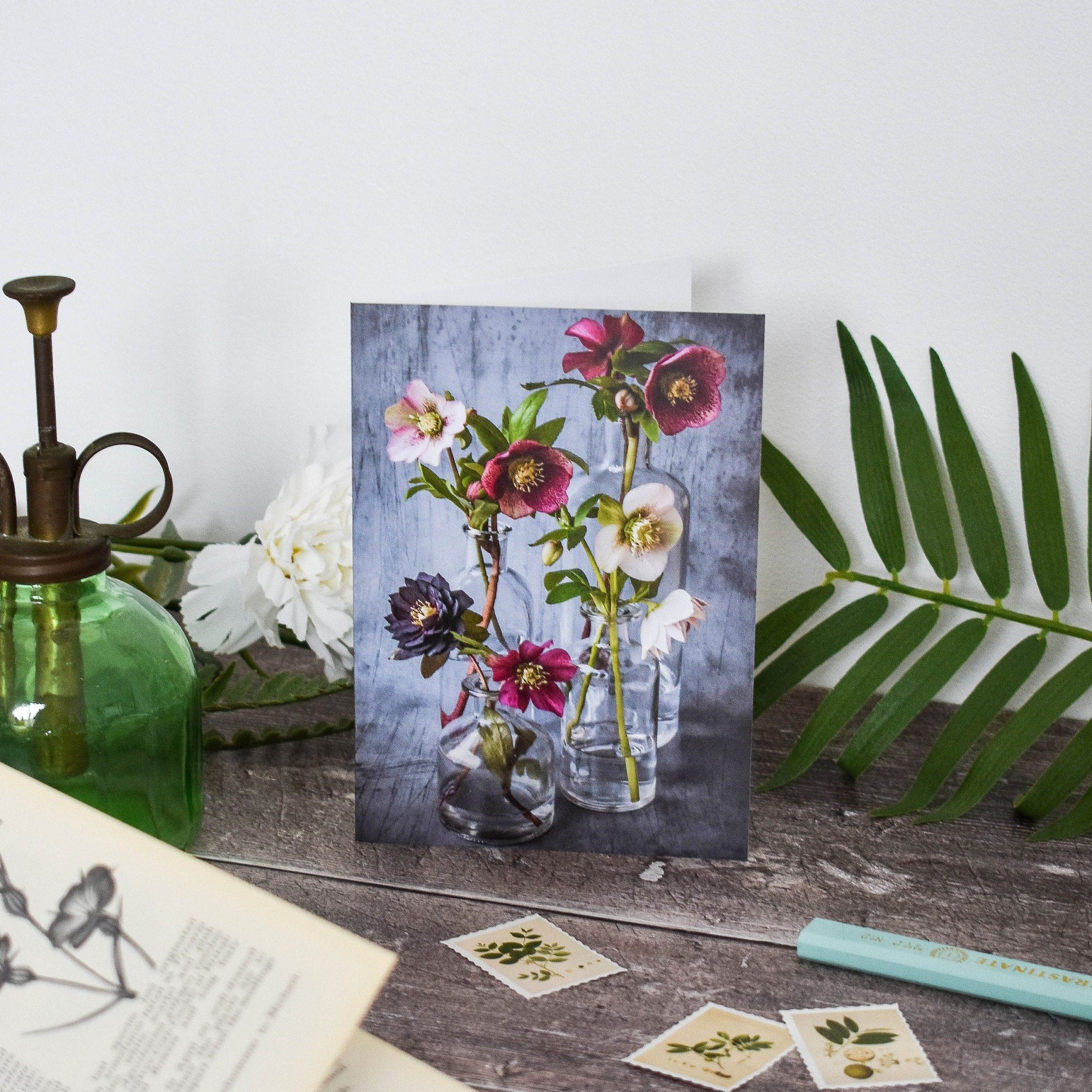Marina Walker Hellebore vases floral blank greeting card