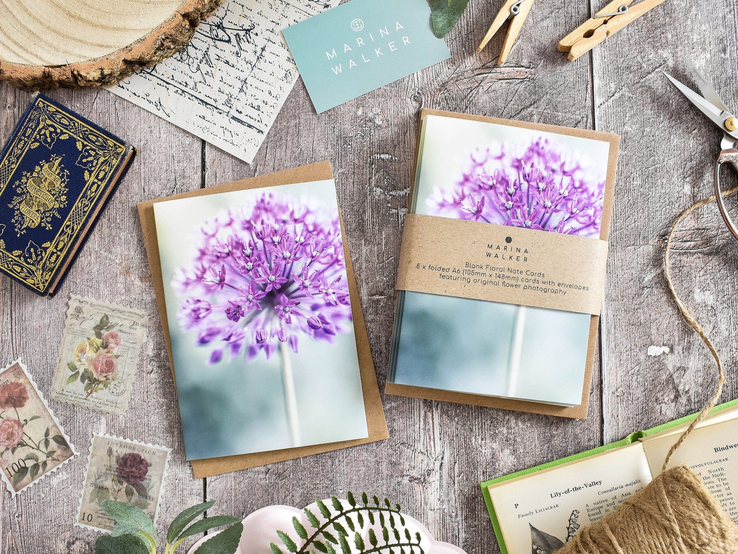 Marina Walker Allium floral blank greeting card