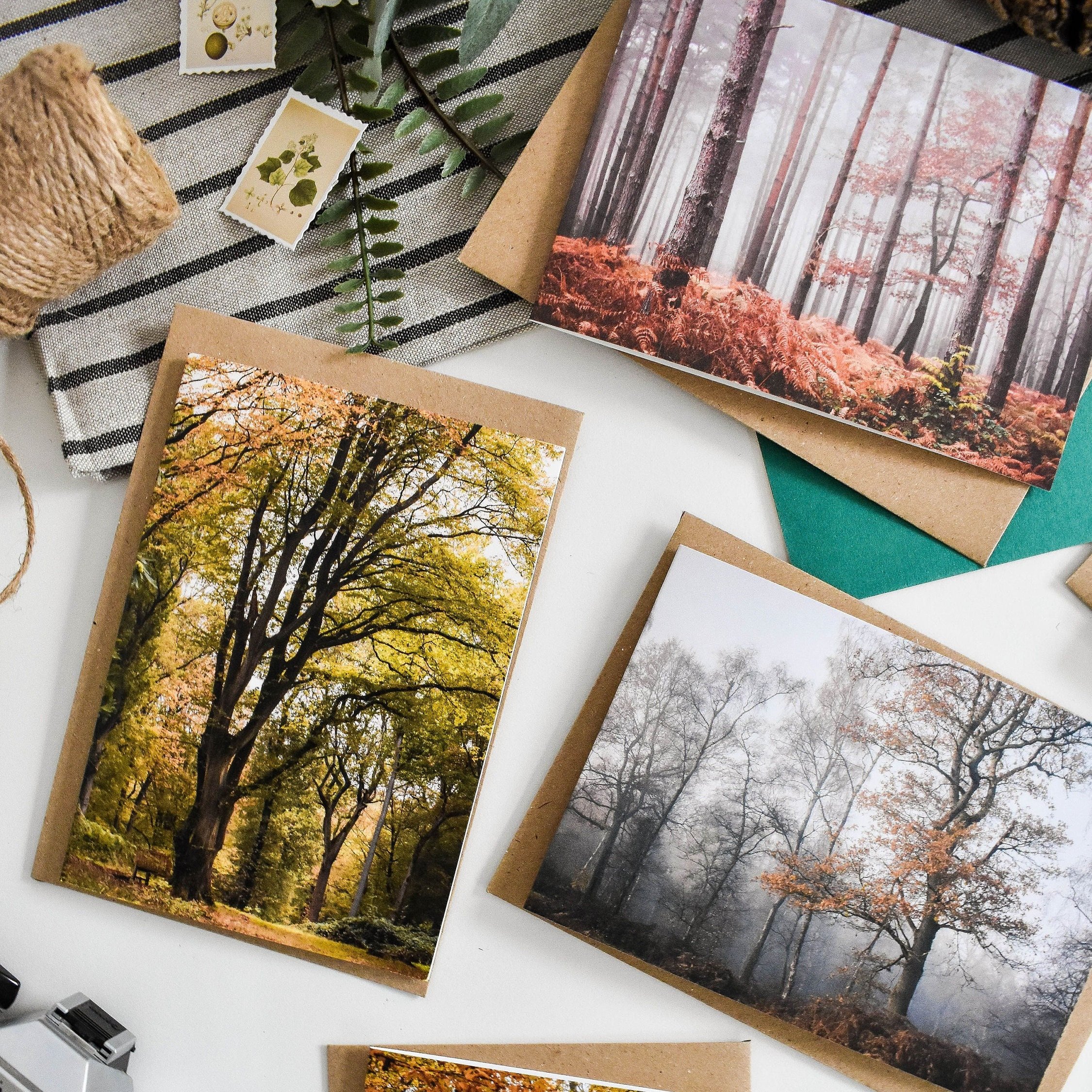 Marina Walker Set of 6 Woodland Greeting Cards