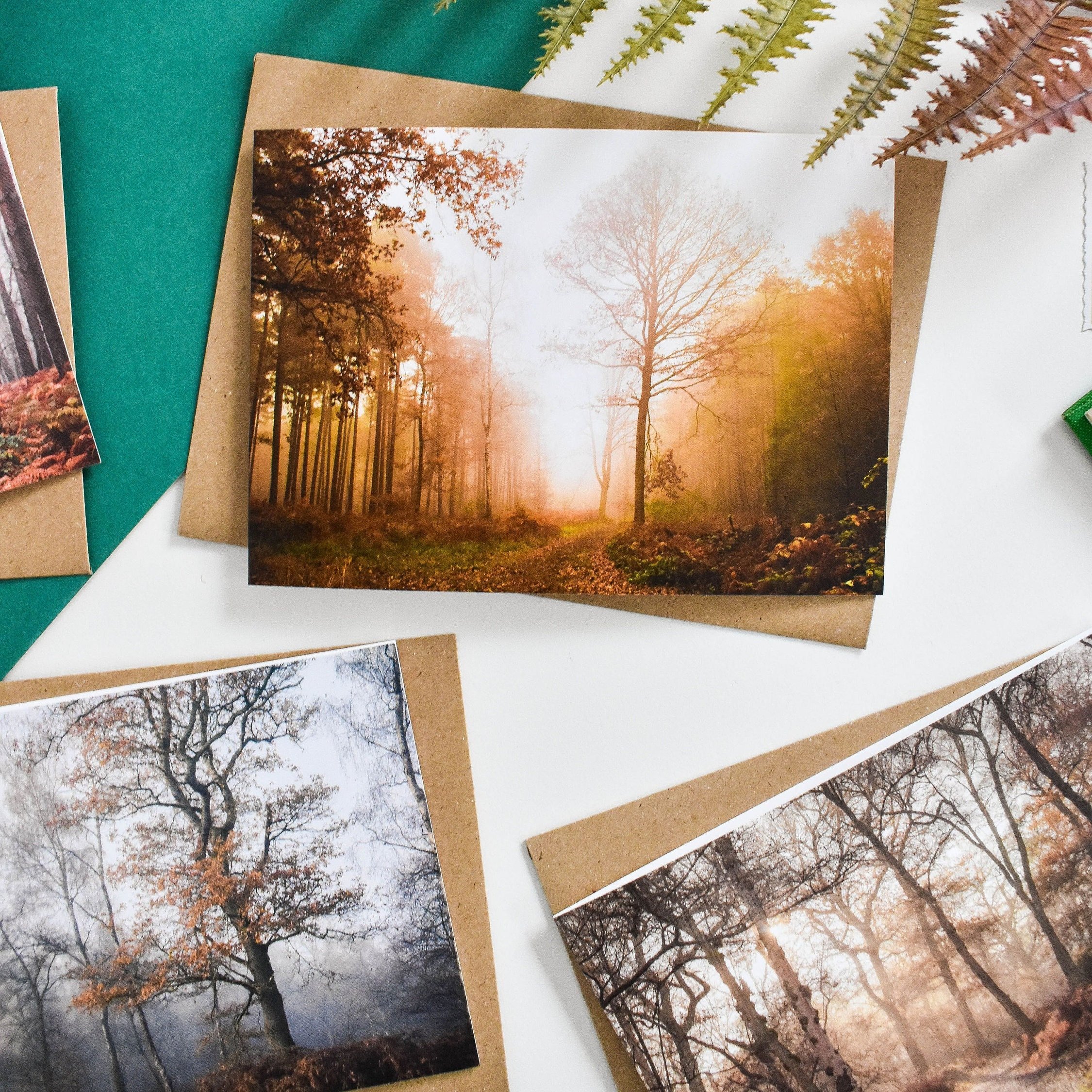 Marina Walker Set of 6 Woodland Greeting Cards