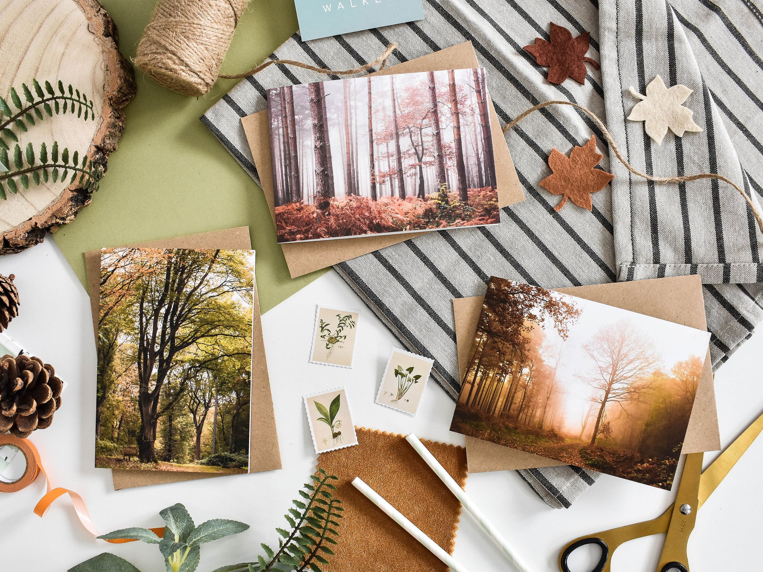 Marina Walker Set of 6 Woodland Greeting Cards