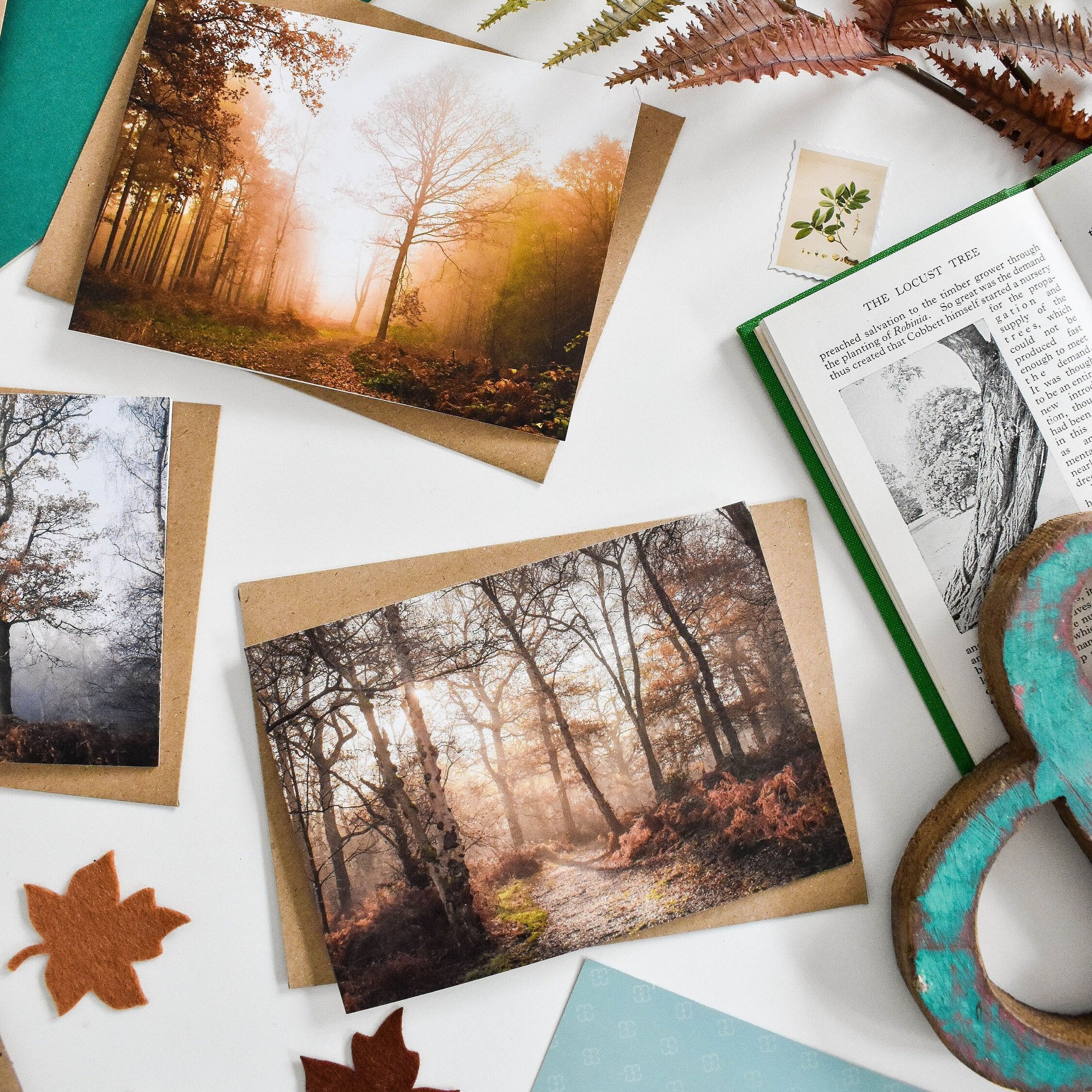 Marina Walker Set of 6 Woodland Greeting Cards