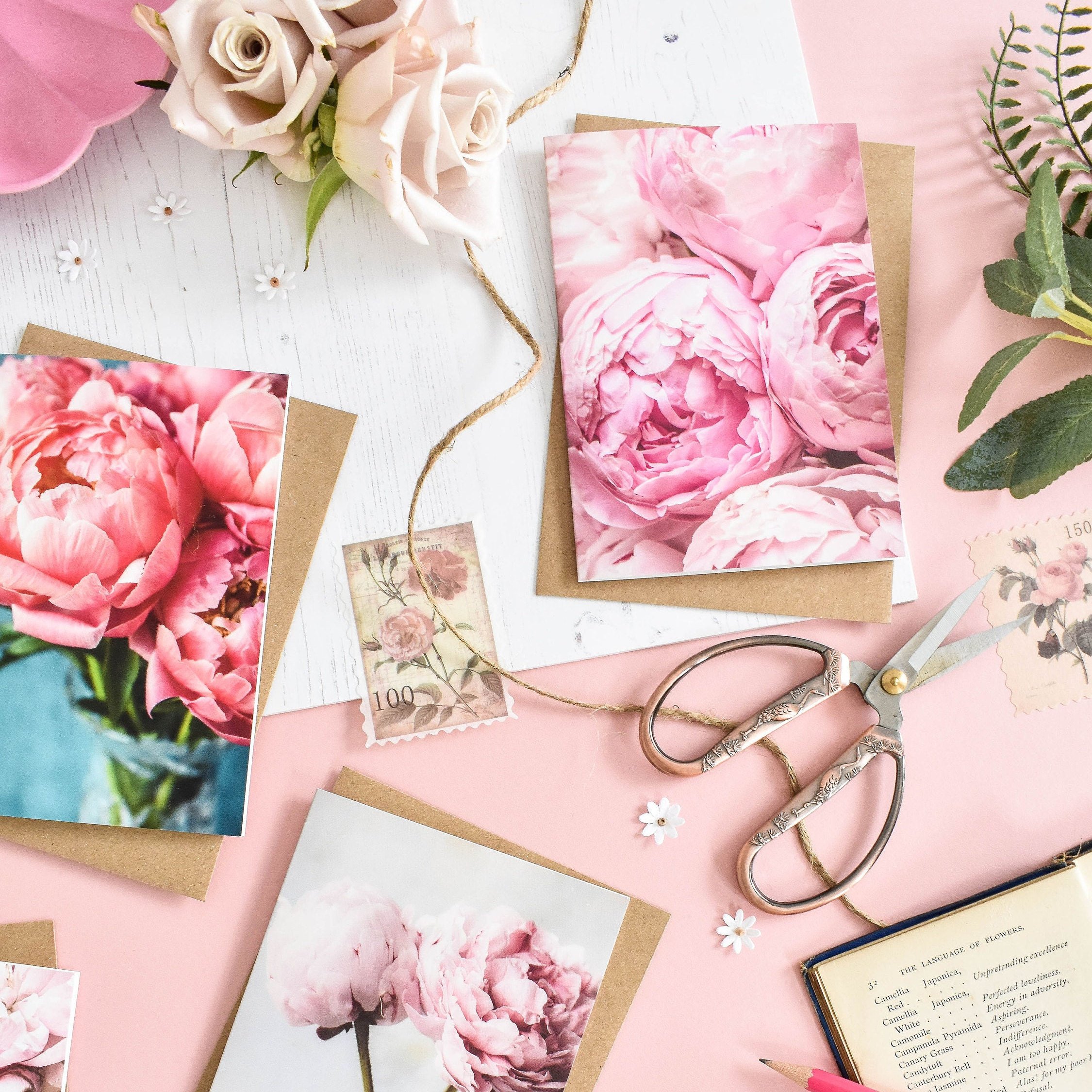 Marina Walker Set of 6 Peony Flowers Floral Greeting Cards
