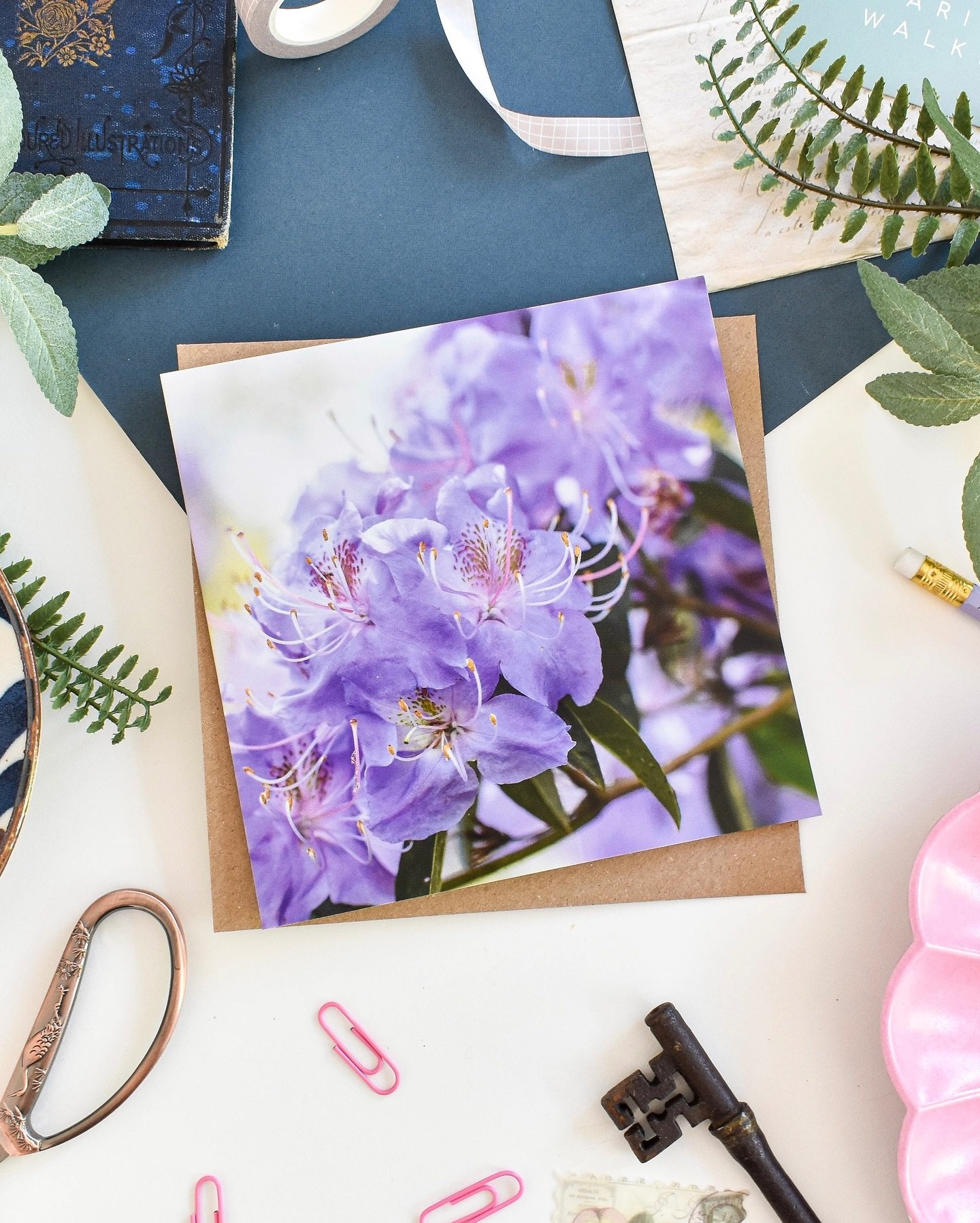 Purple rhododendron card 💜 Another seasonal favourite with customers - specially made for a someone who said there was a lack of rhododendron cards out there!