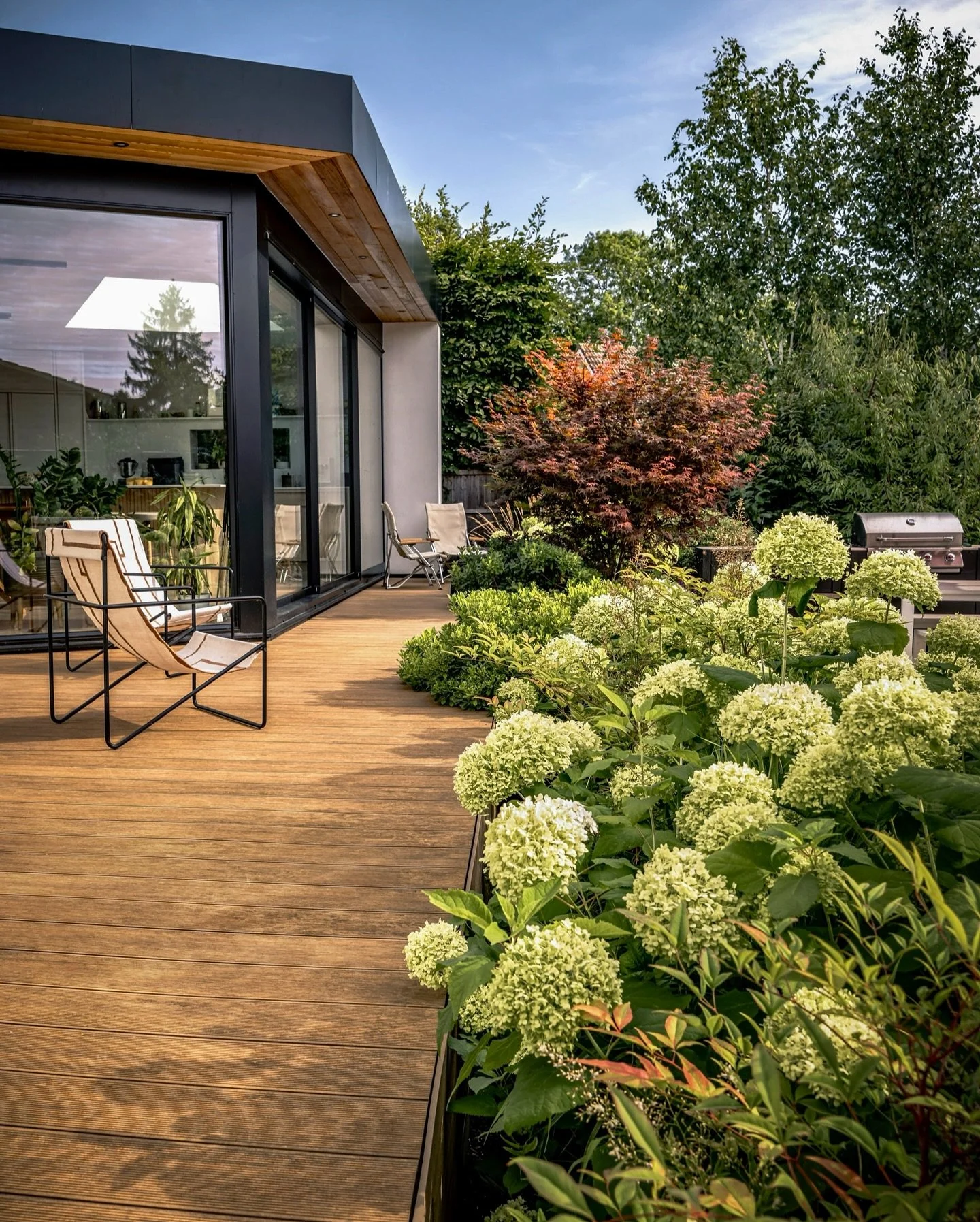 Hints of bronze 🧡 Designed by: @jenberrygardendesign Build by: @ivyandstoneltd 

#gardenphotography #gardenphotographer #gardendesign #hertfordshiregarden