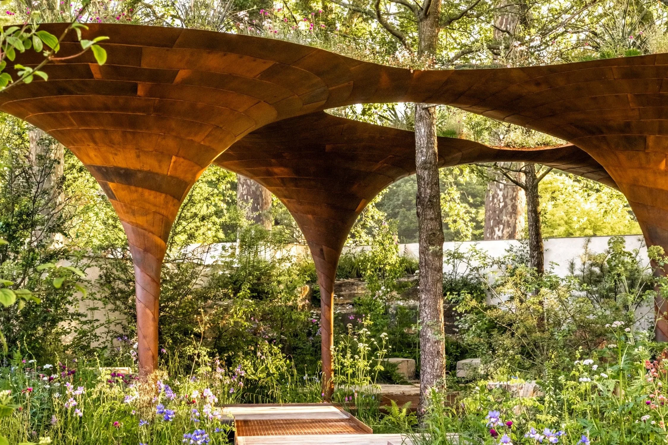 Corten steel canopy structure over naturalistic planting with walkway in WaterAid garden RHS Chelsea Flower Show 2024 by Tom Massey and Je Ahn
