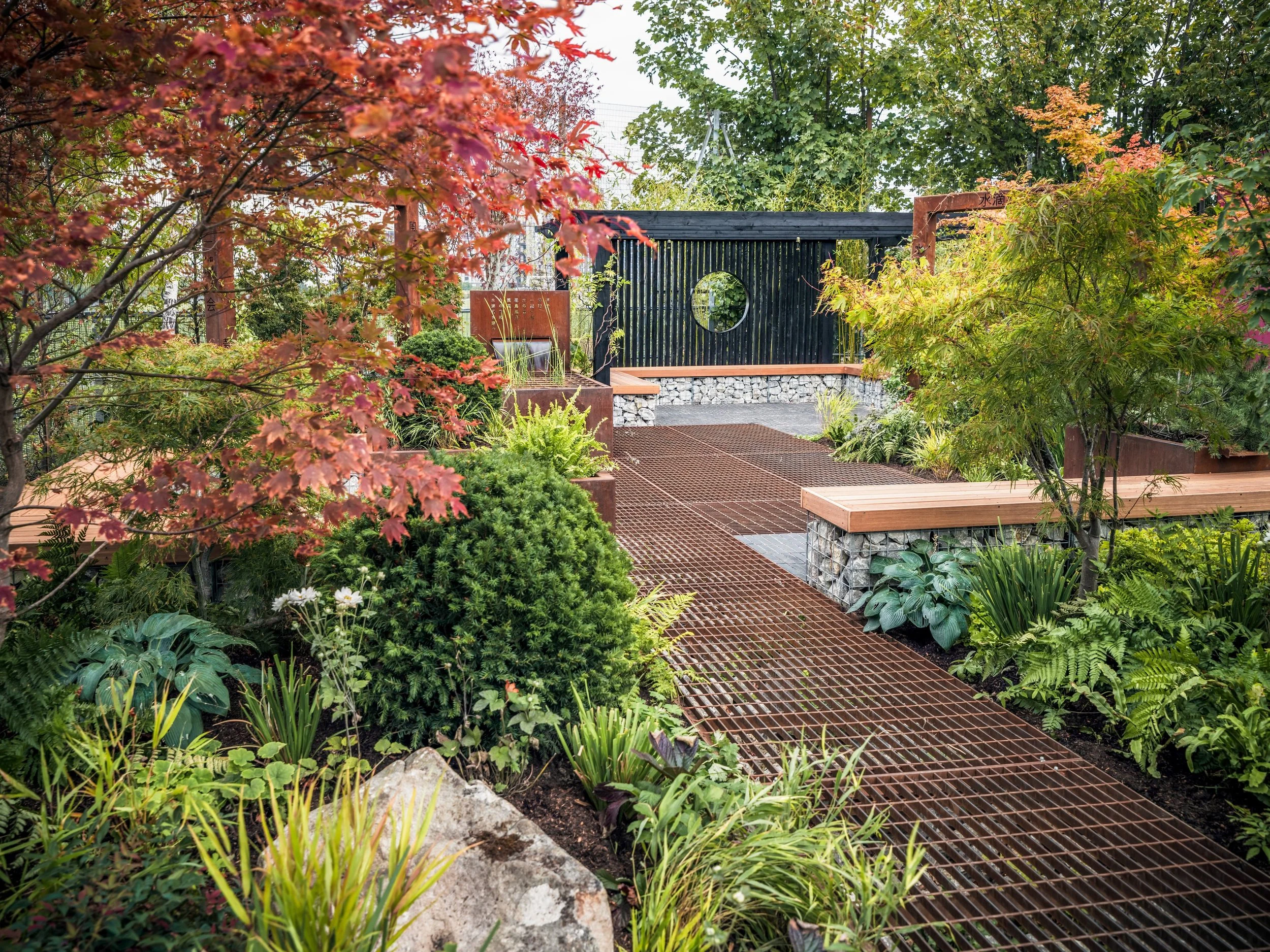Japanese inspired garden design in Walthamstow, London primary school, originally an RHS Malvern show garden, featuring corten steel planters, gravel garden, timber seating, gabion walls and shade planting with Acer palmatum and ferns.