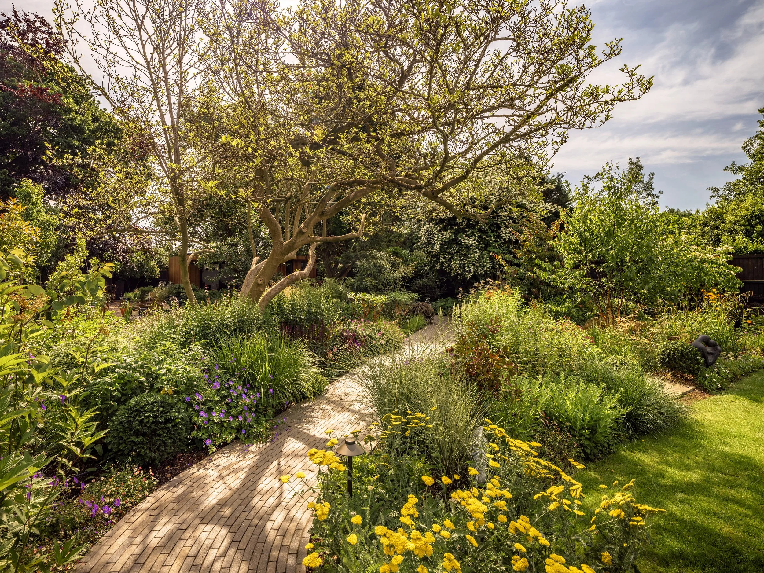 Naturalistic garden planting with winding brick path beneath mature tree in St Albans Hertfordshire
