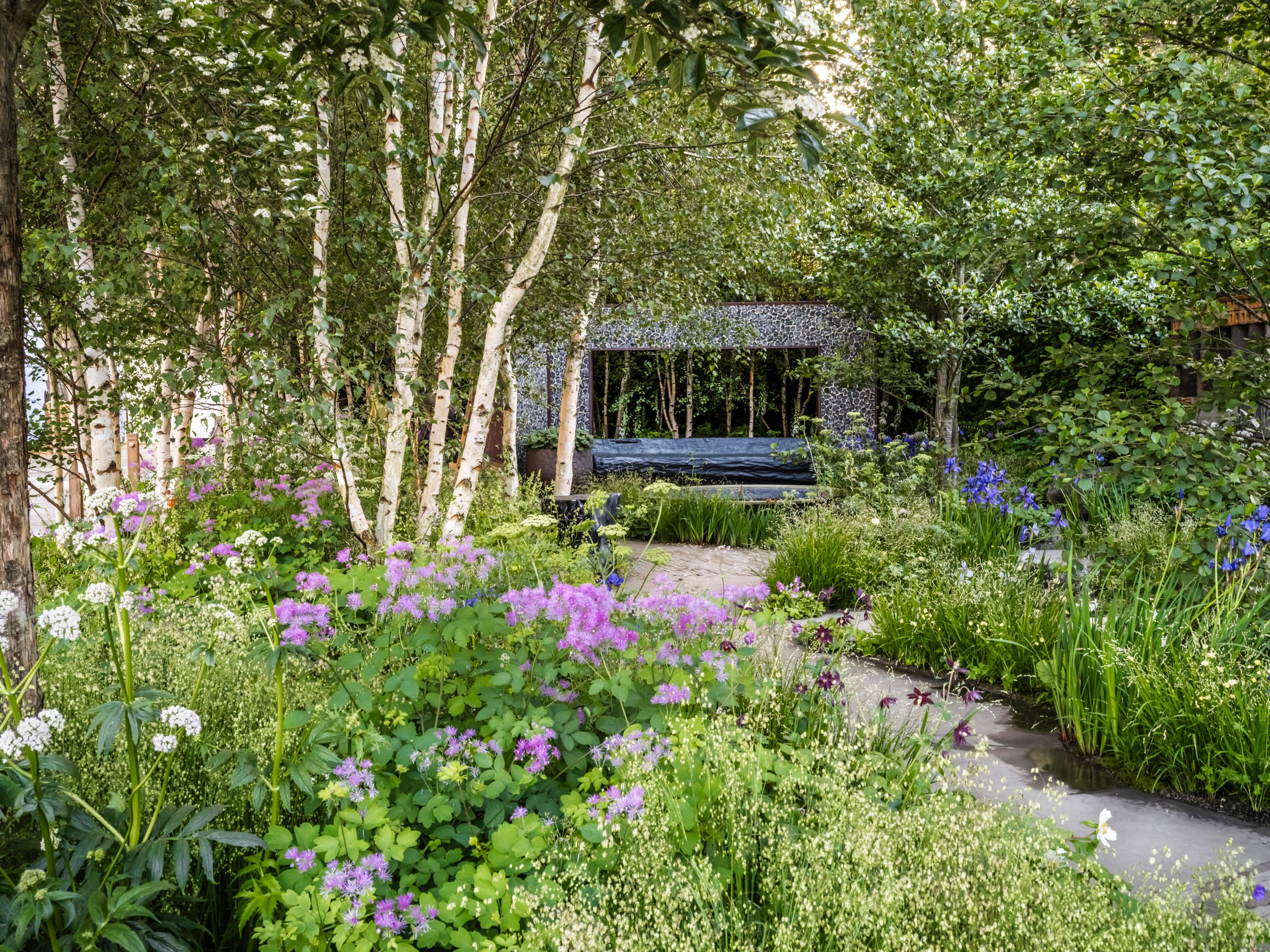 RHS Chelsea Flower Show 2024 forest bathing garden by Ula Maria birch trees with naturalistic planting and seating pavilion
