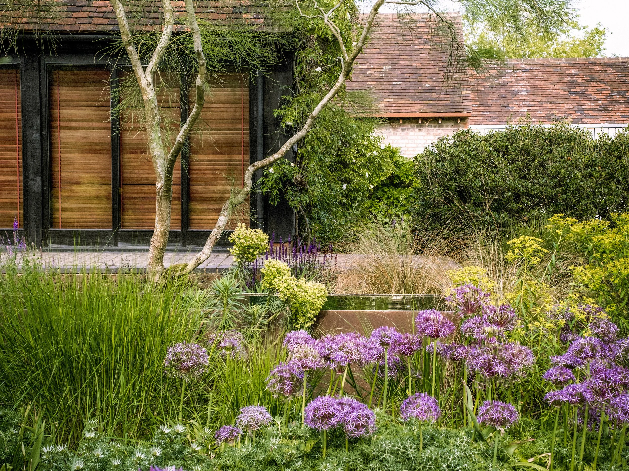 Naturalistic planting at Serge Hill Bedmond with ornamental grasses, euphorbia and alliums set around a reflective water feature beside a contemporary garden building