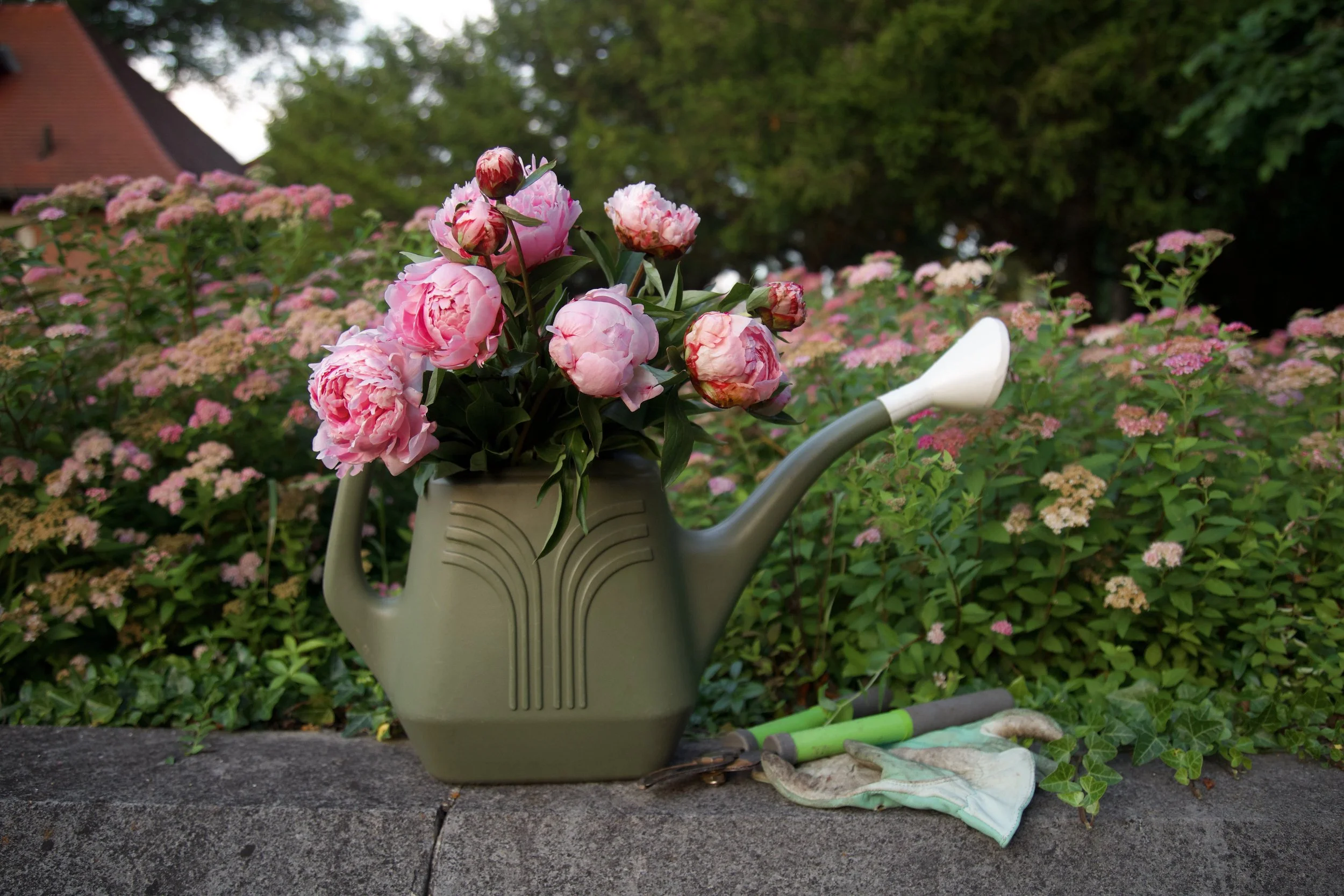watering can.jpeg