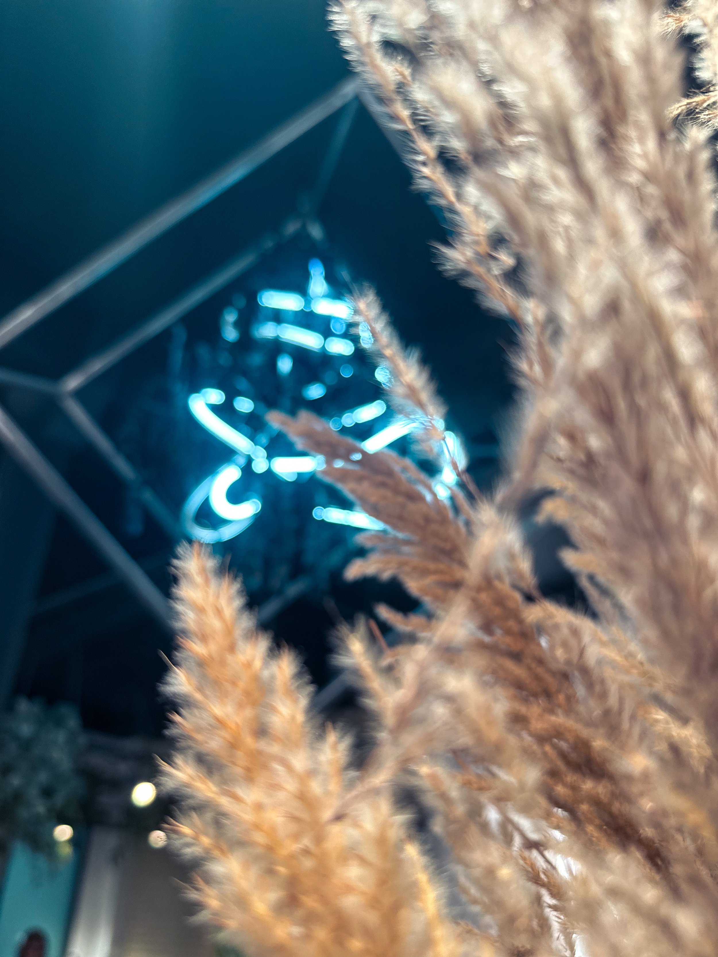 coloriste professionnel Paris