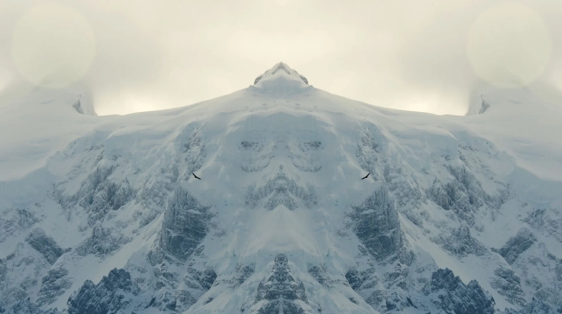 Landscape Think Lemonade.JPG