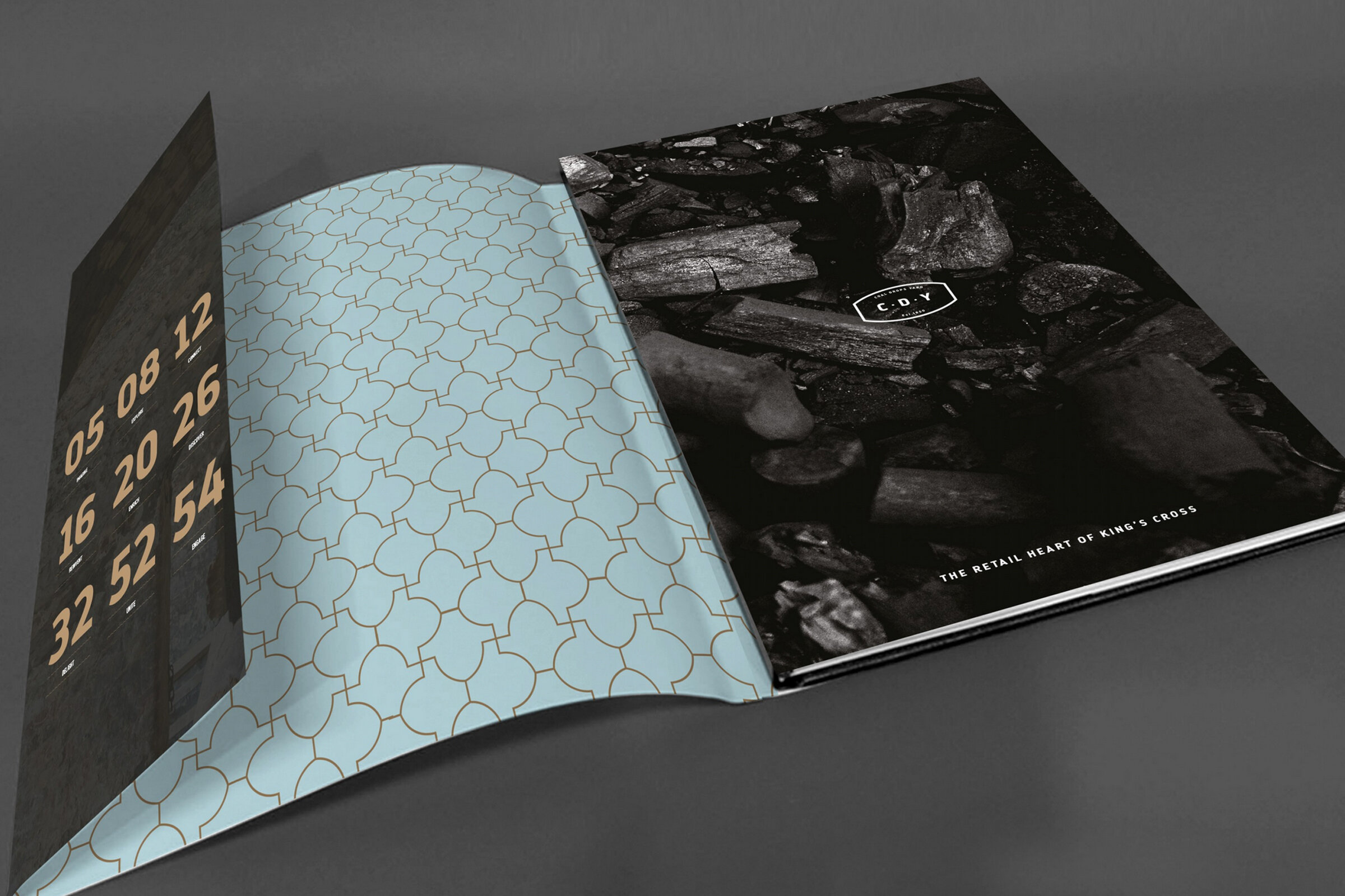 Print design: Dust jacket with call-out