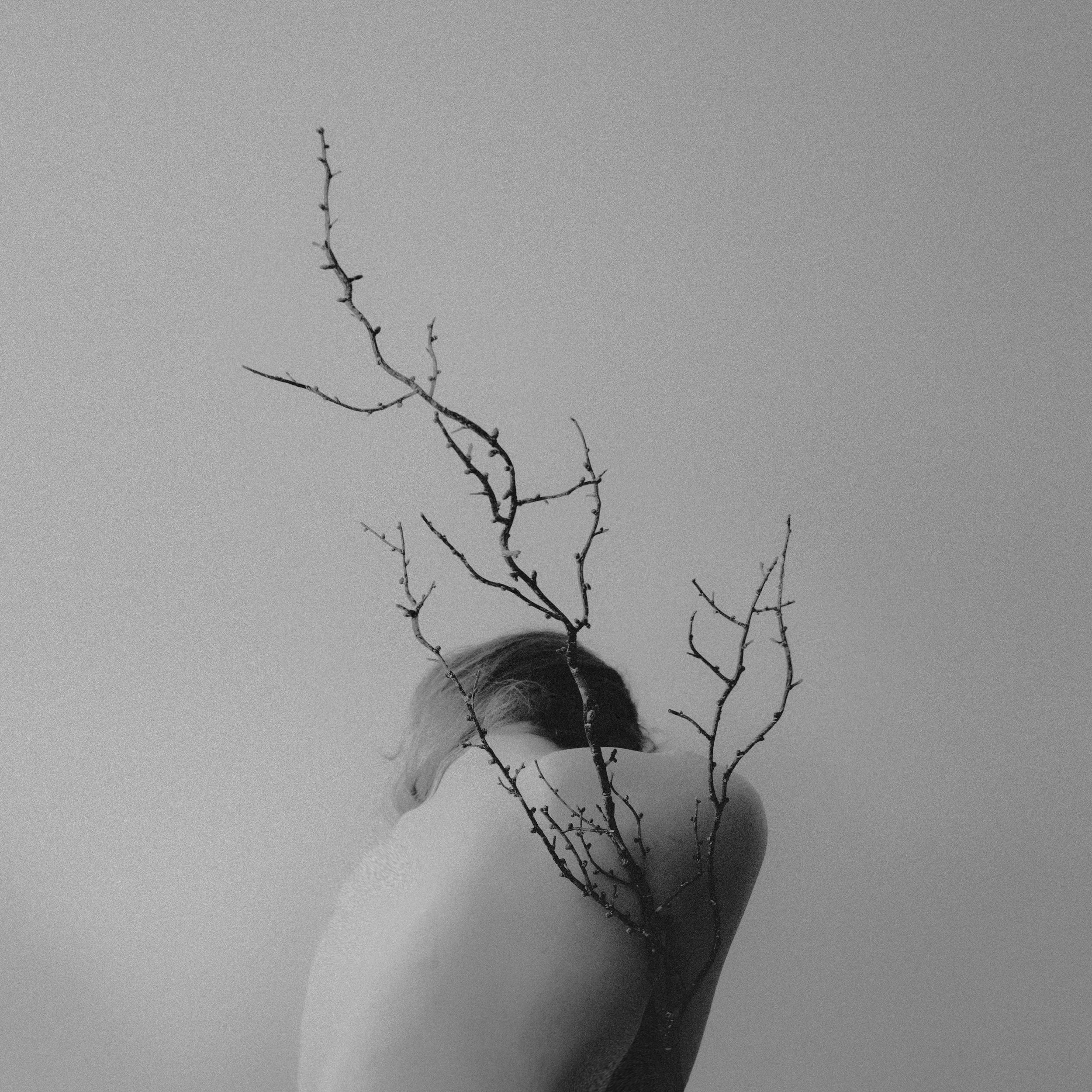 LM Edits -1195 2.jpg