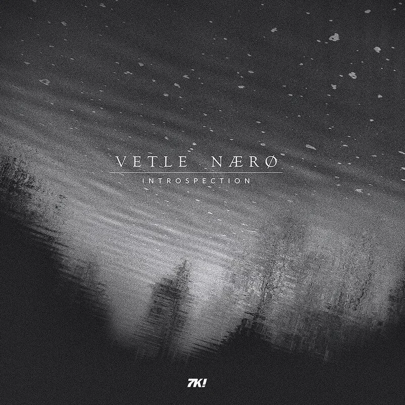 Vetle Naero - Introspection Album