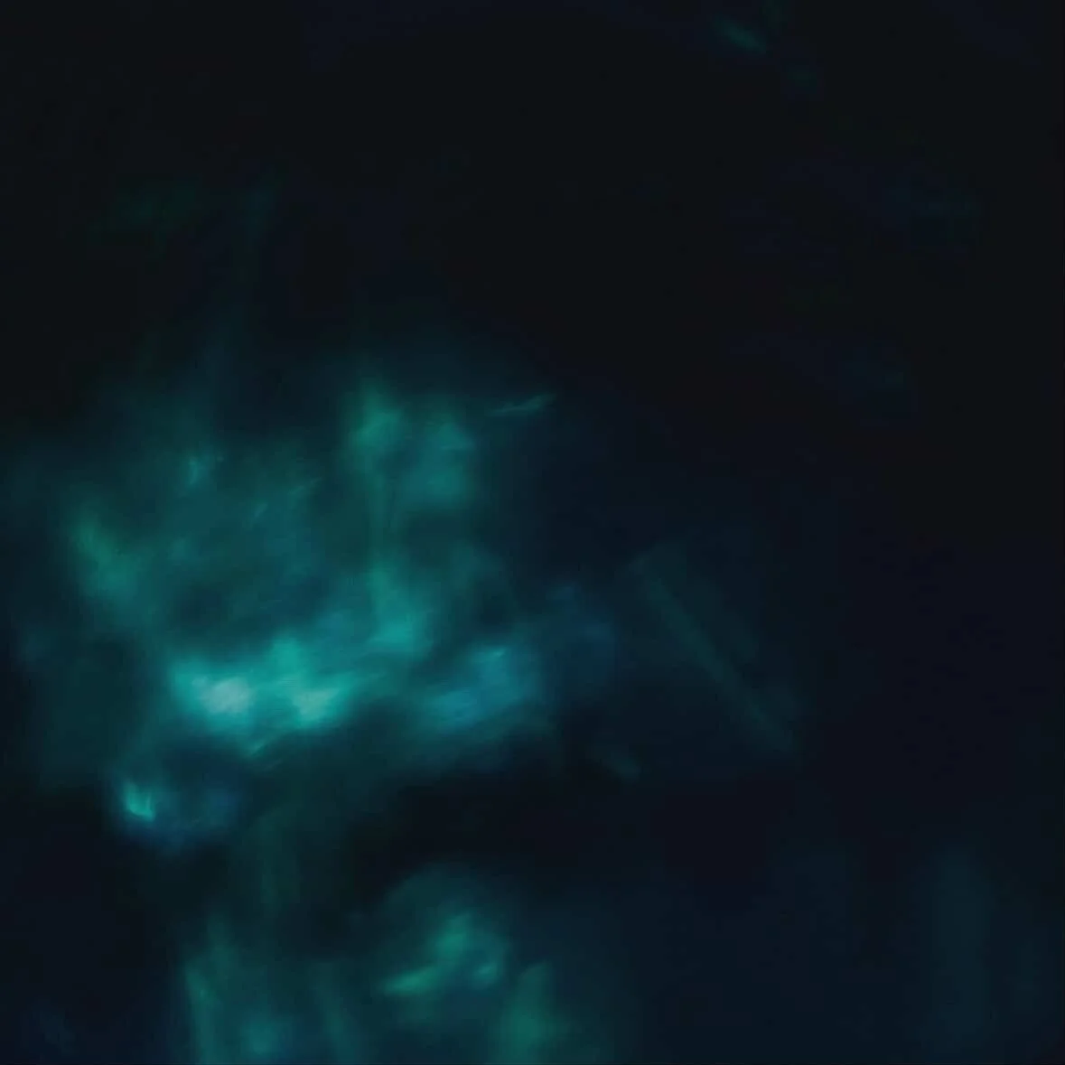 WMD - We Never Seem To Have Enough Time  Album