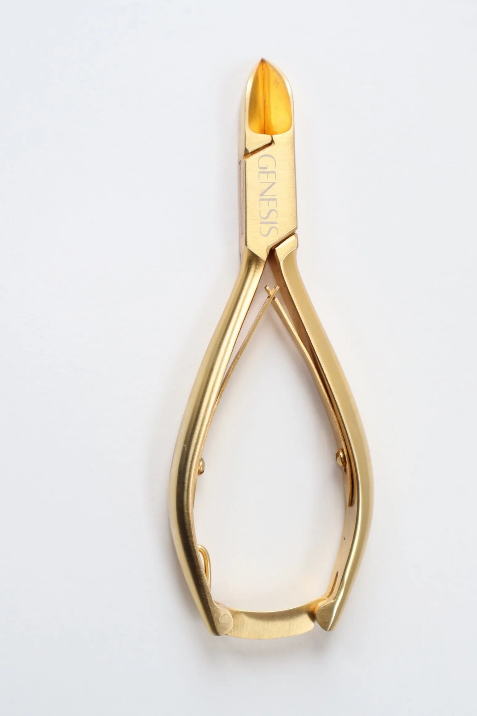Toenail Clippers (Pro)