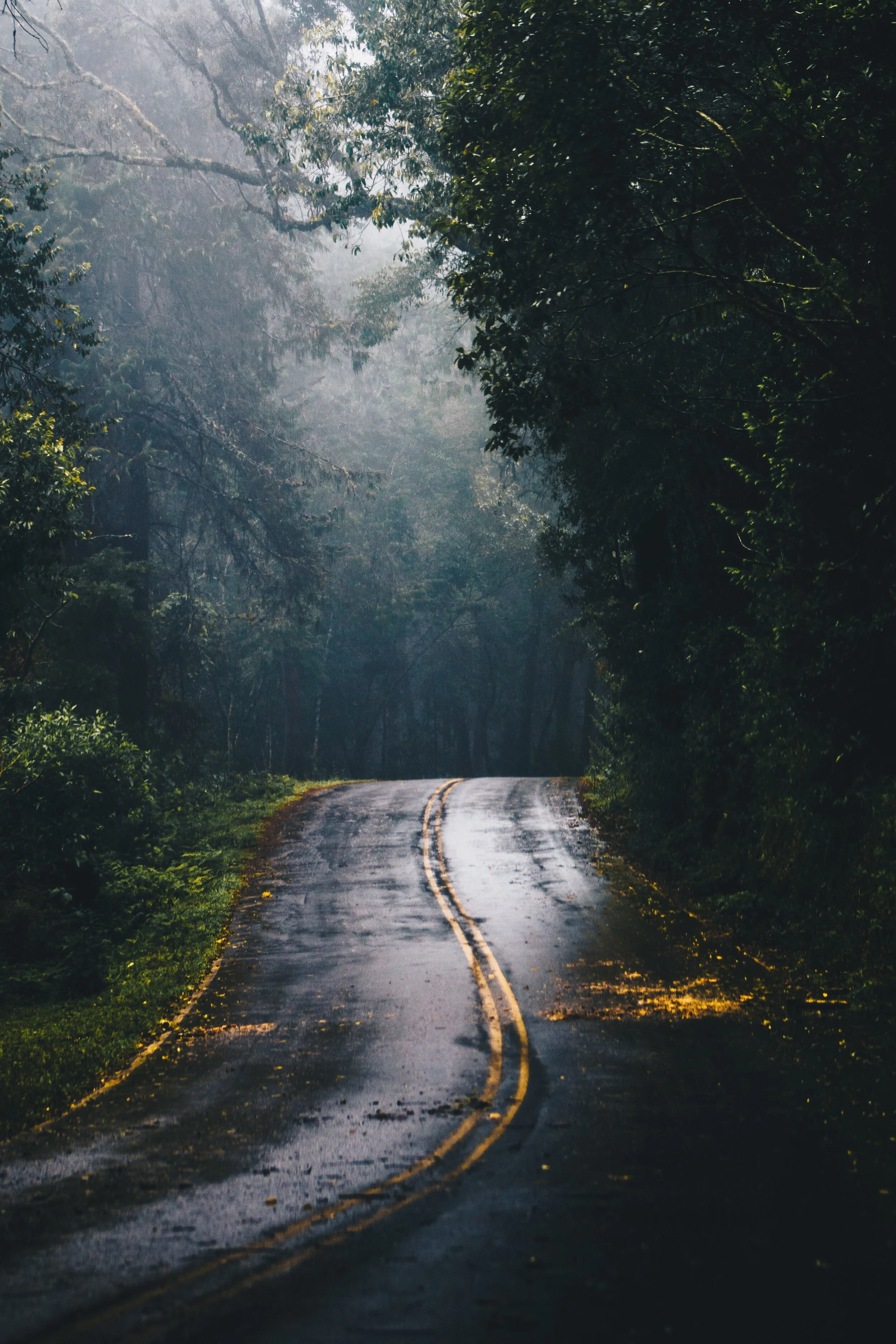 The Learning Curve 