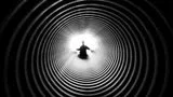 SPINNING IN A RABBIT HOLE