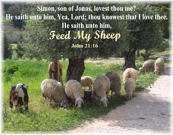 FMS Discipleship Course 