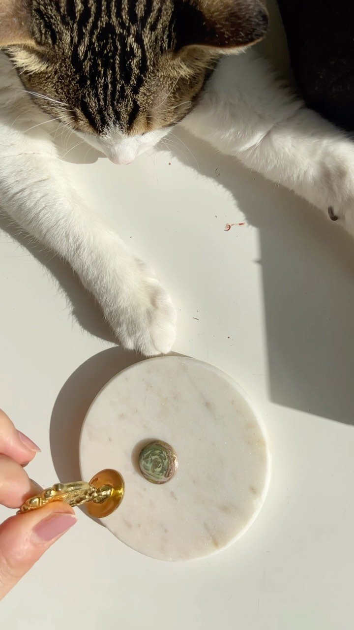 The perfect wax melt doesn’t exis-
#nyc #waxmelts #calligraphy #cat