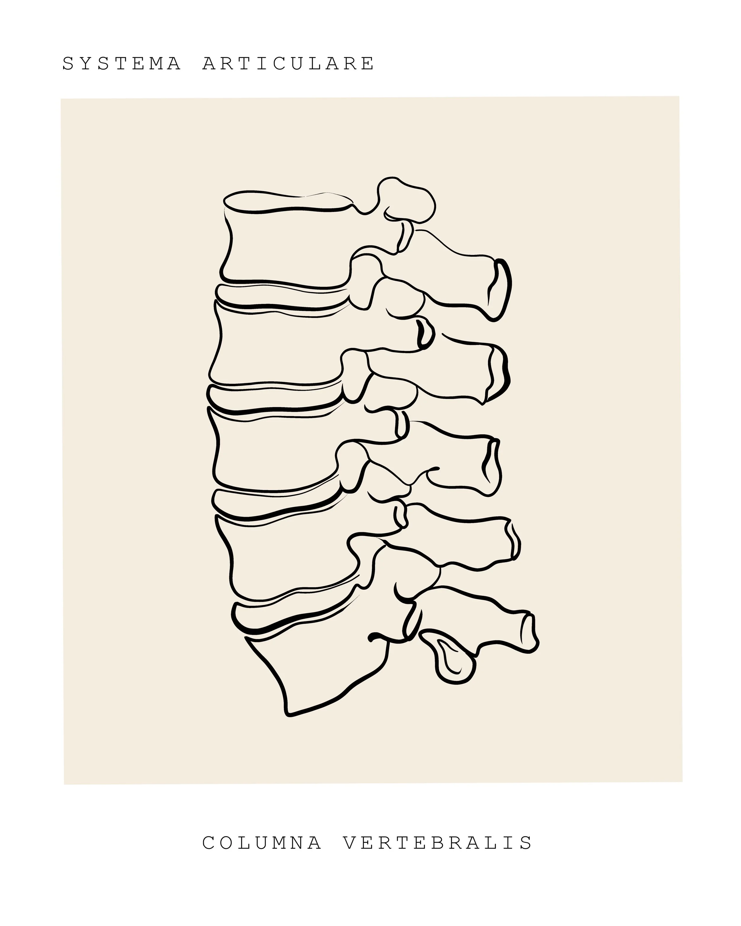 Why doing “all the right things” can make your back pain worse