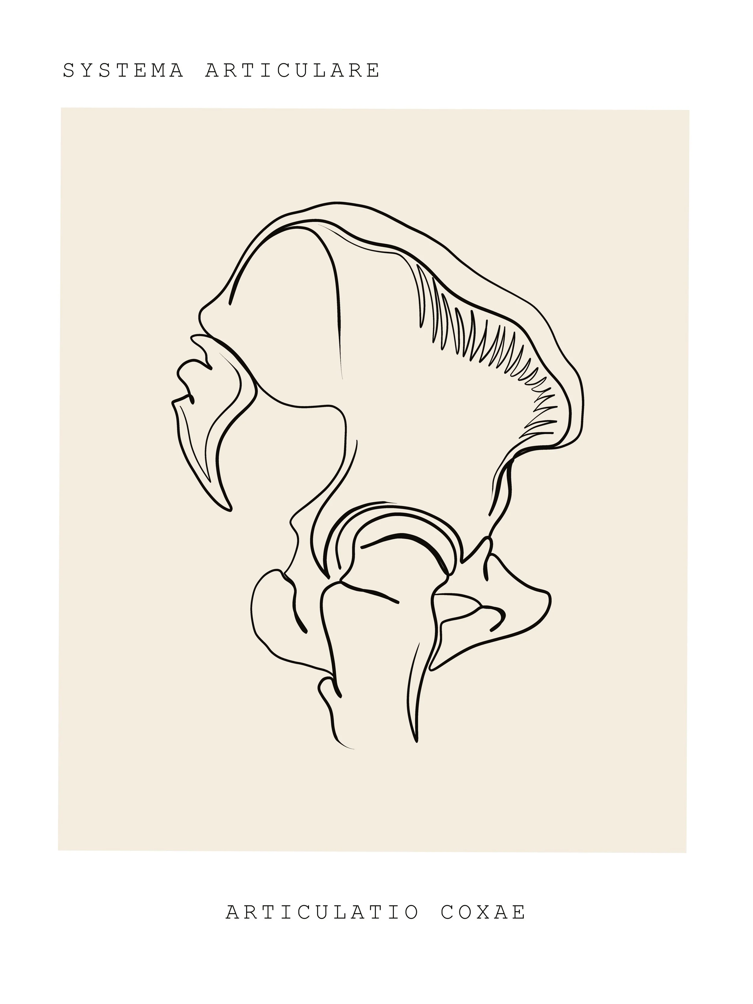 hip pain conroe texas