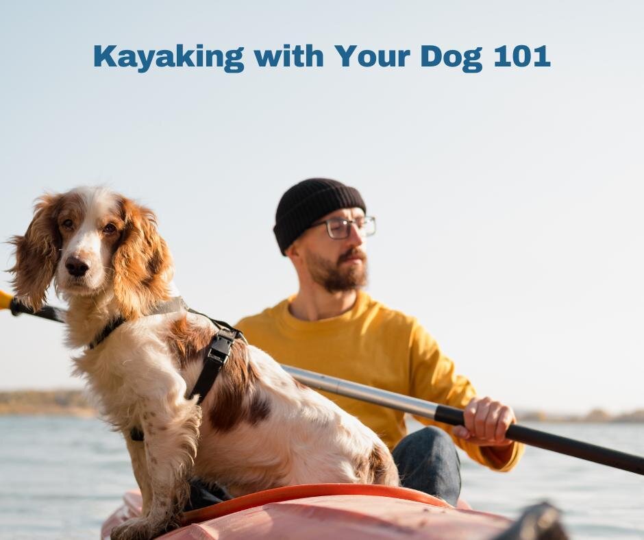 Taking your dog kayaking with you this summer? Follow these tips for smooth sailing! 1) Safety First- know your location, have a first aid kit and life jackets. 2) Fuel Up- have water and snacks packed 3) Take Your Time 4) Have Fun!

#kayaking #kayai