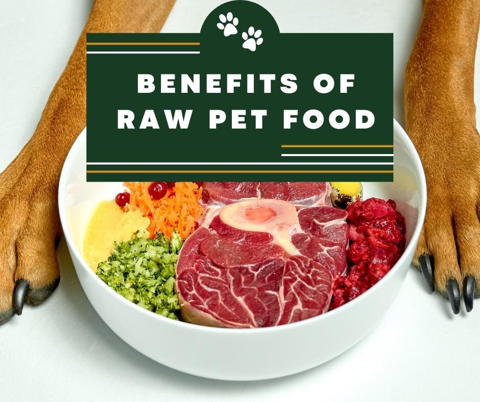 Pets with allergies, digestive problems and young, active pets can especially benefit from raw frozen pet food. Raw frozen diets contain real meat, fresh vegetables, omega oils and nutrients, making them the gold standard in pet food. You can mix raw