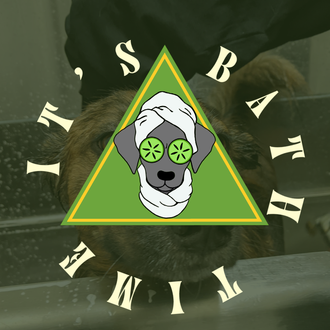 HPS Doggie Spa Donation Drive