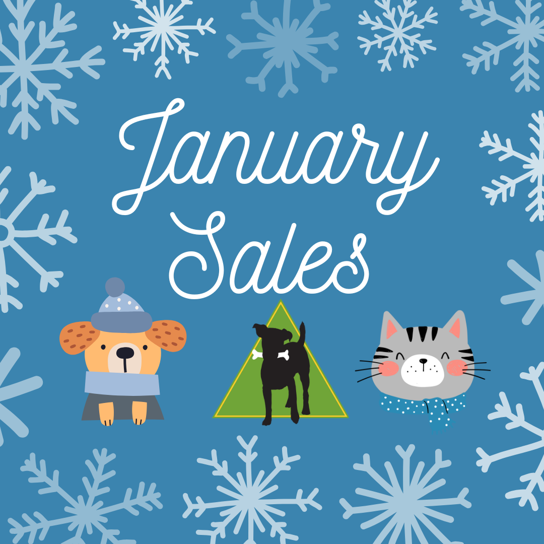 January Sales