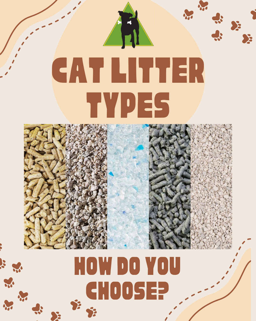 Cat Litter Types: Explained
