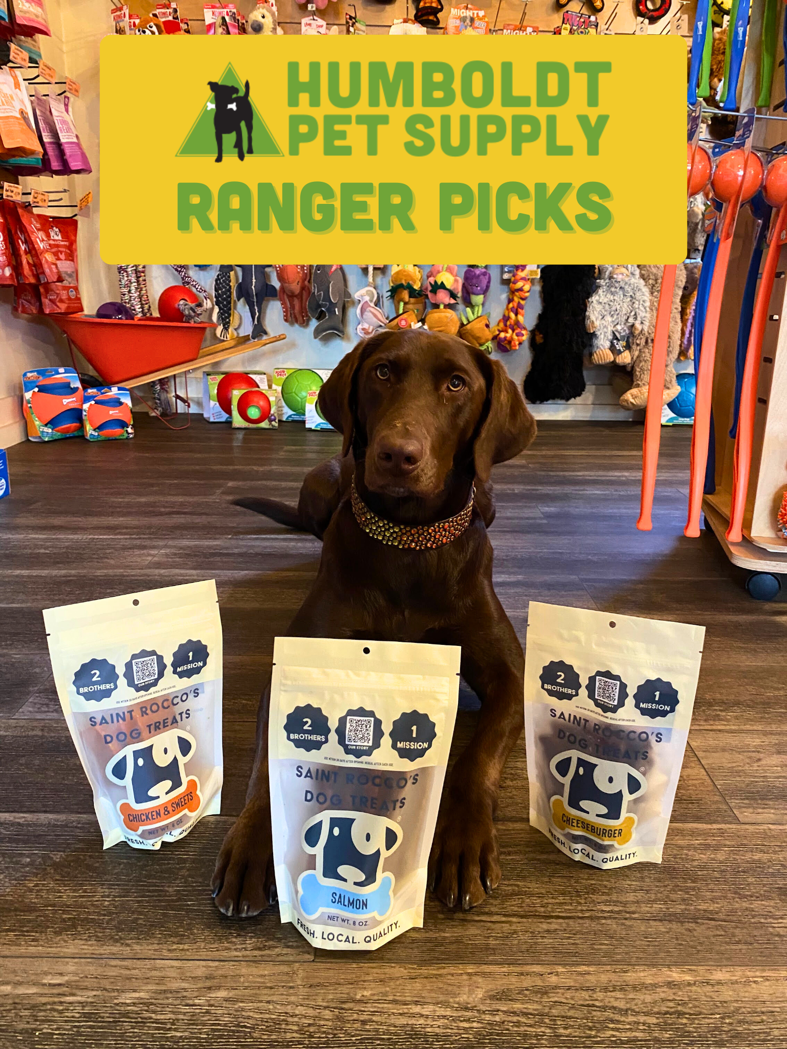 Saint Rocco’s Dog Treats