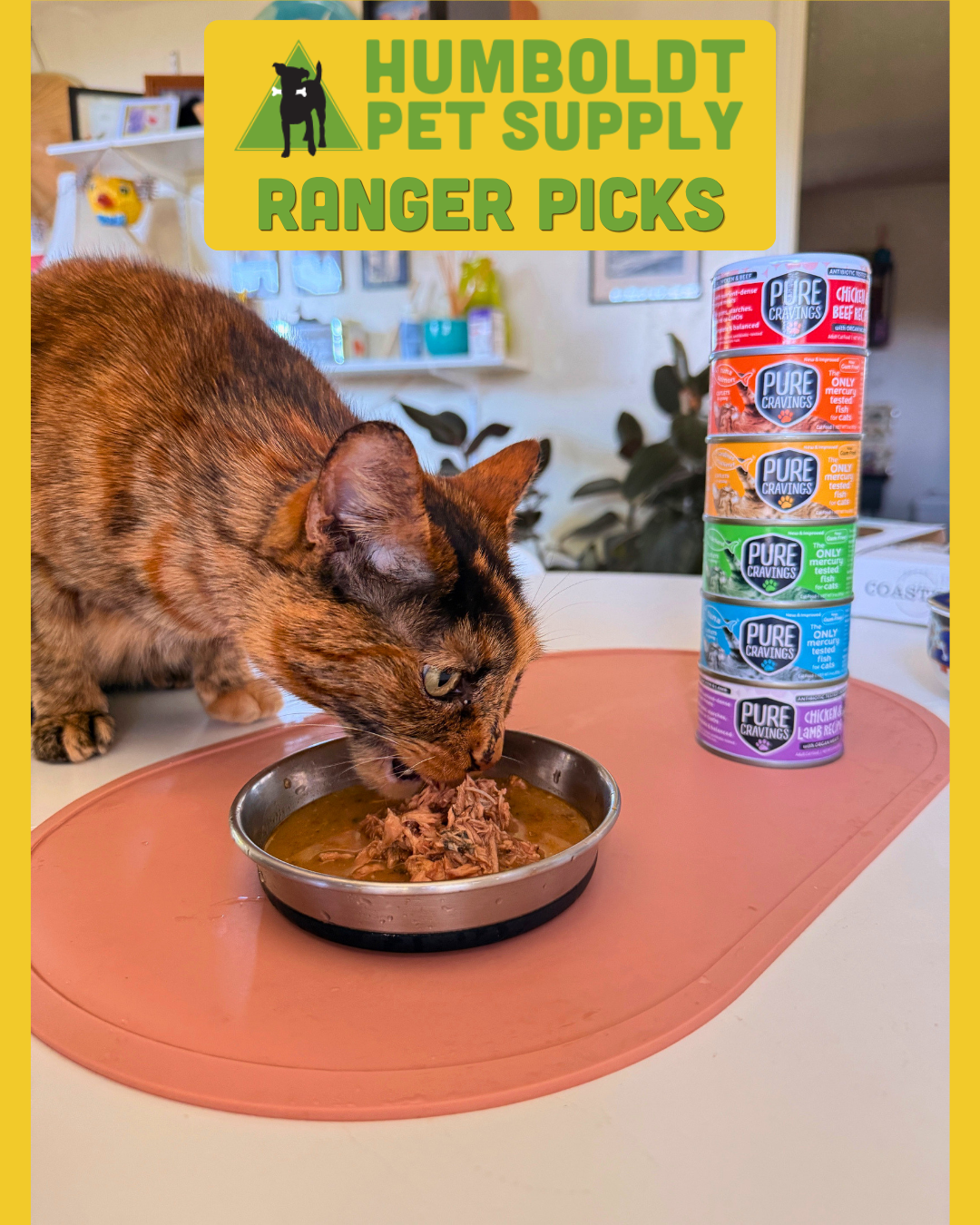 Pure Cravings Canned Cat Food
