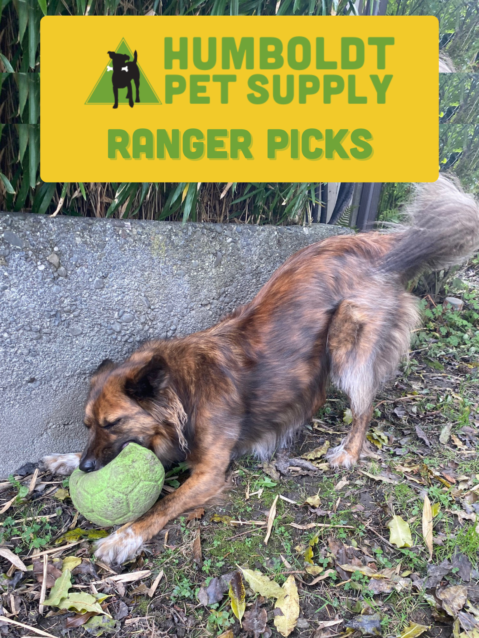 Jolly Pets Soccer Ball Dog Toy